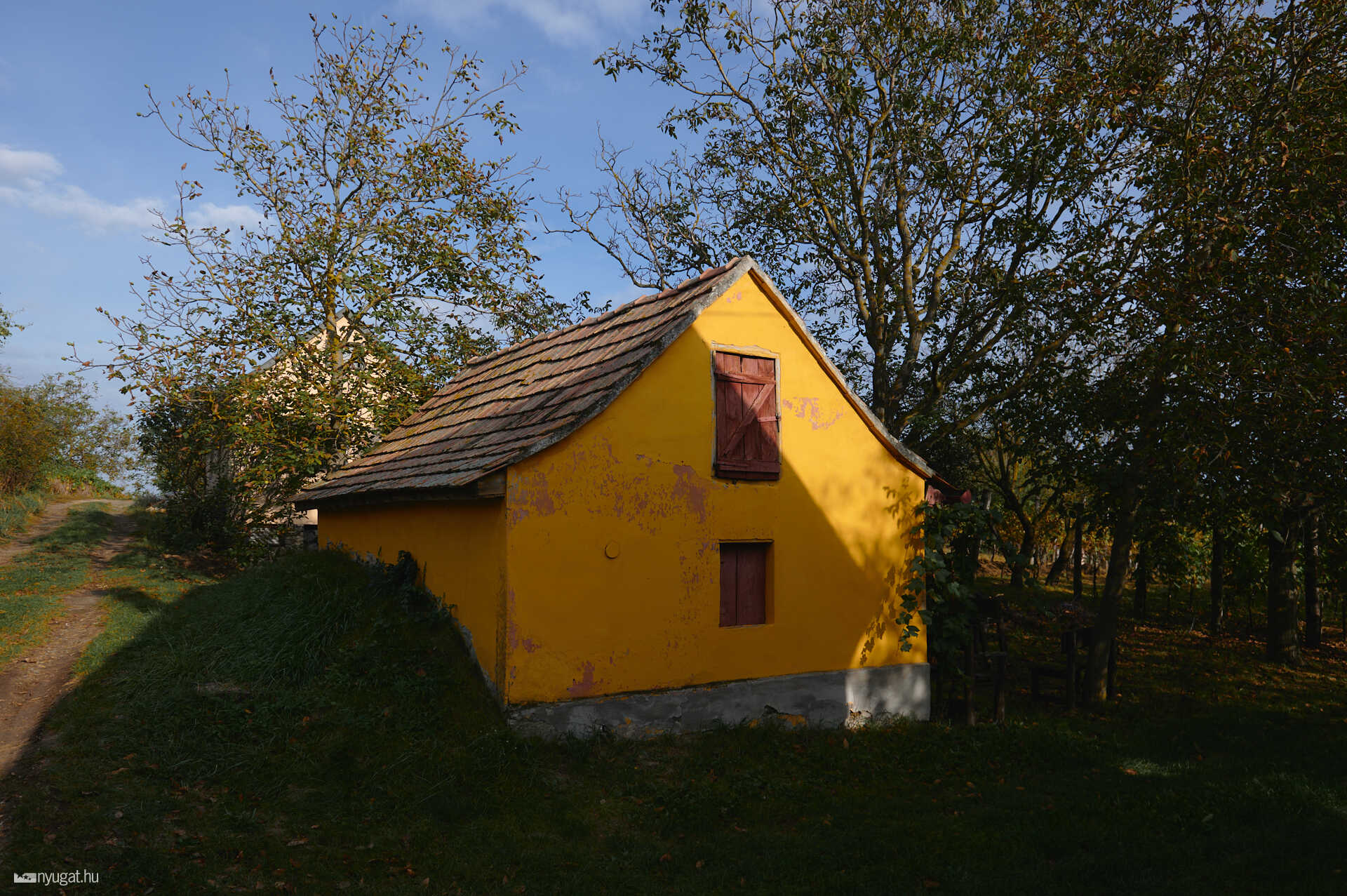 Kis-Somlyó hegy