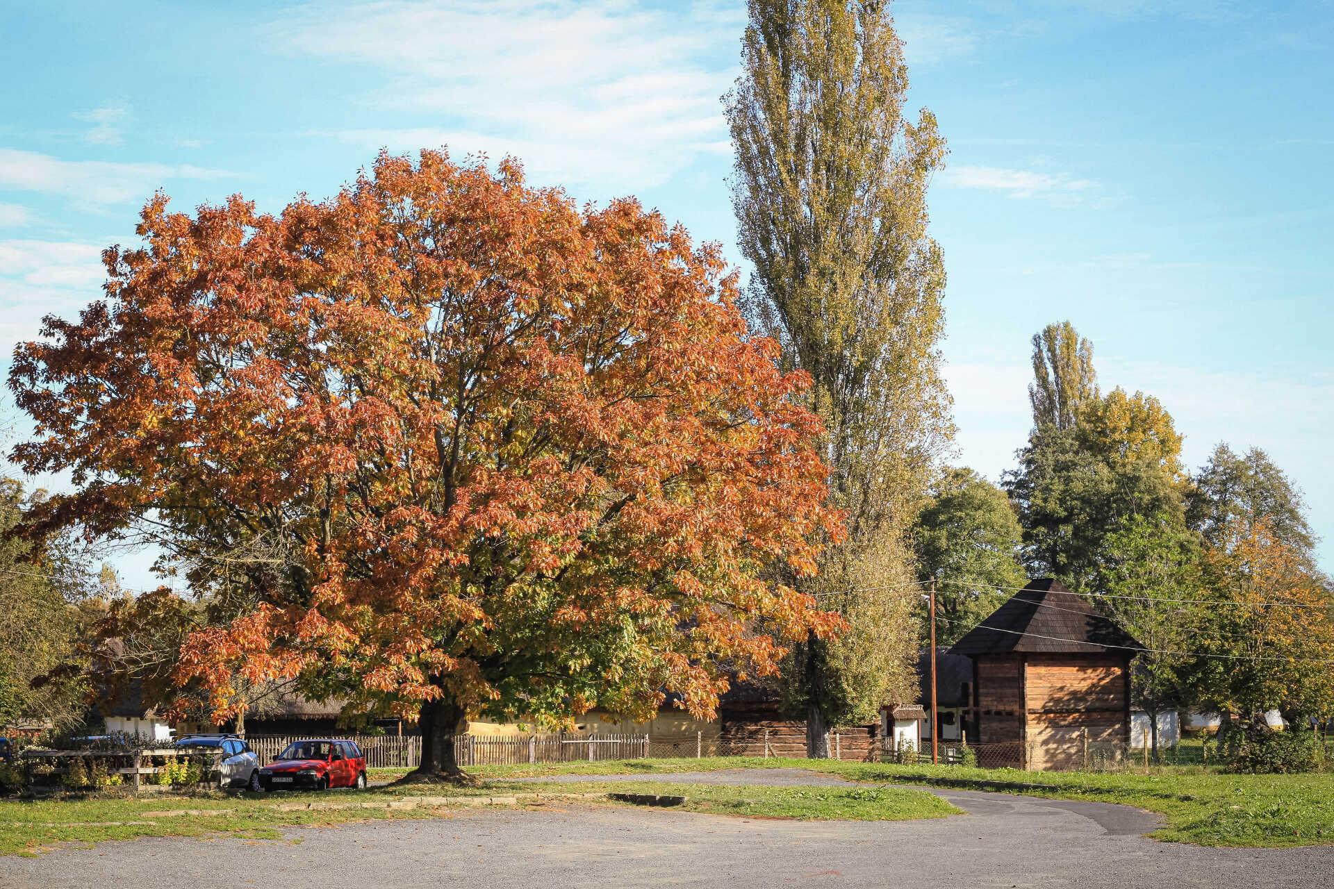 Ősz a Skanzenben olvasói fotók