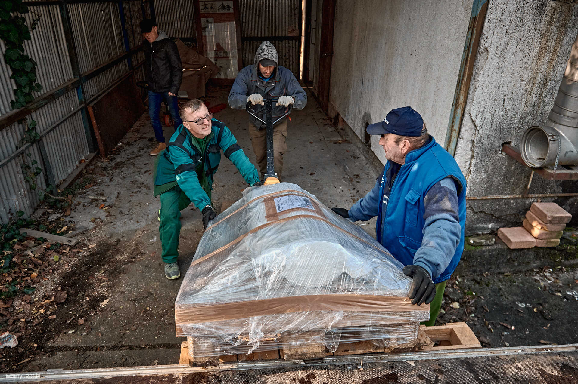 Schrammel alkotás megérkezik Szombathelyre