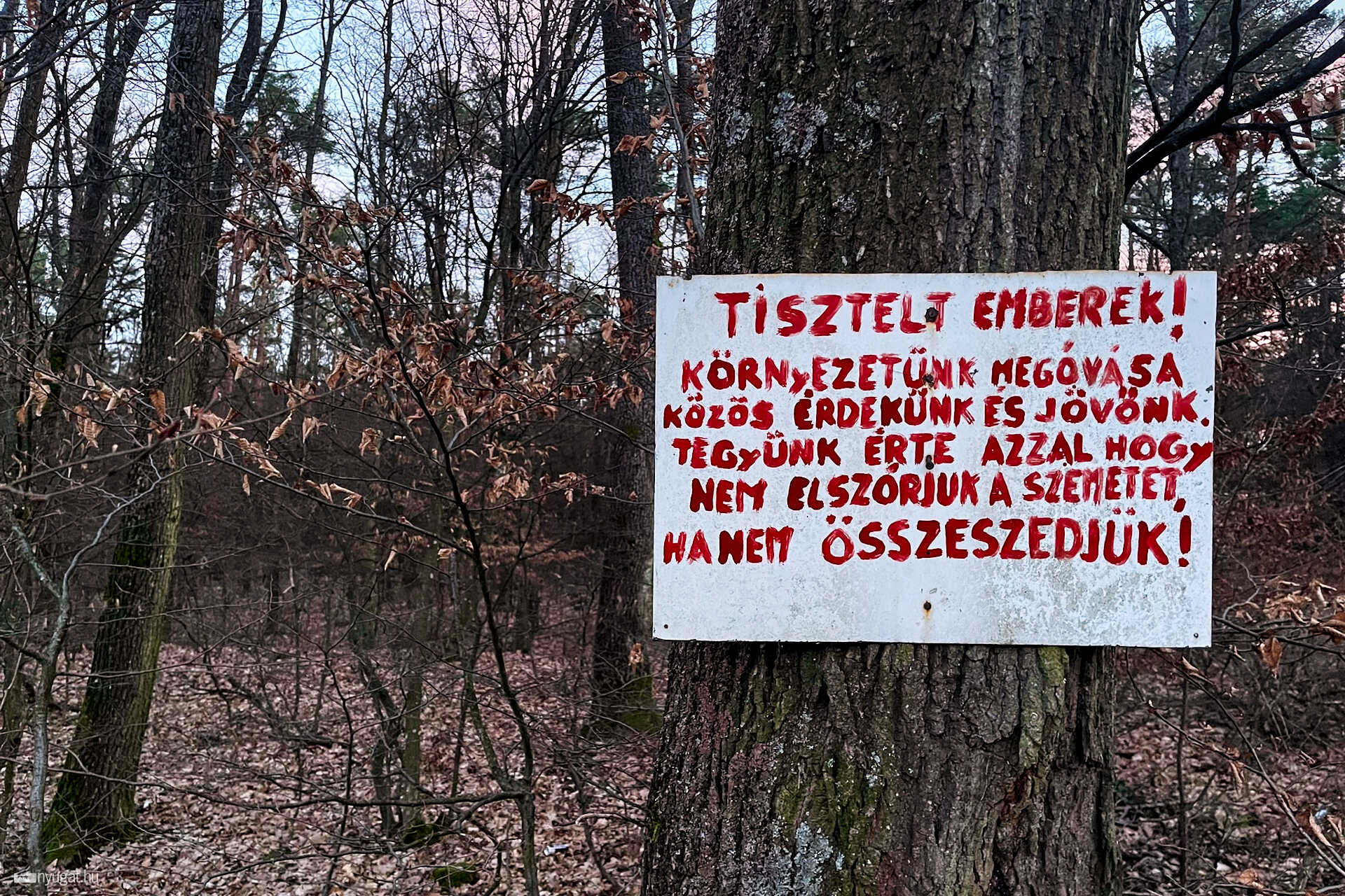 A parkerdei kiskertek és információs táblái tavaszelőn 