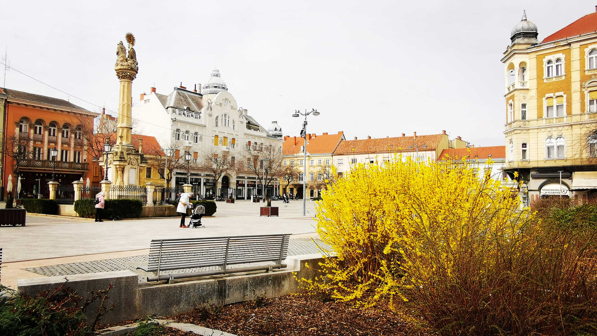 Fő téri virágok