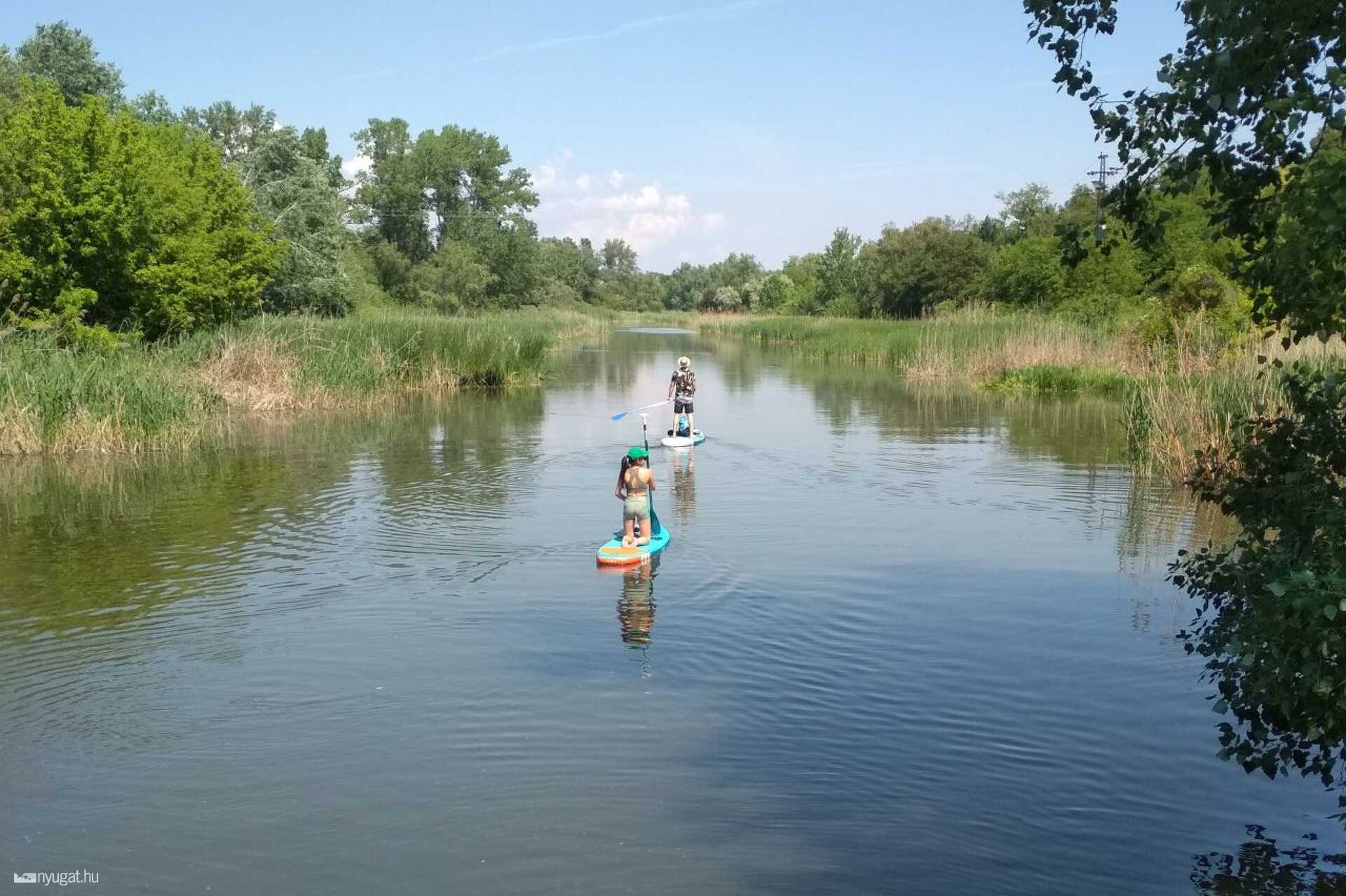 A budapesti Molnár-sziget