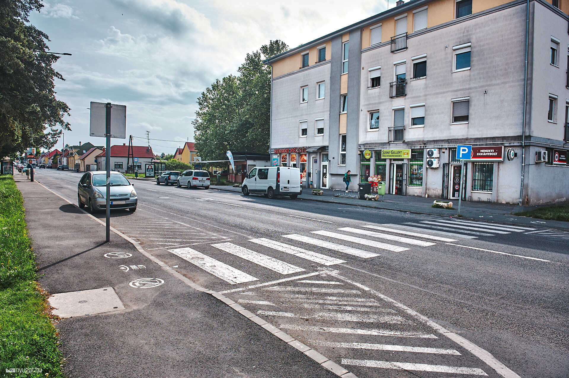 zebra Szent Gellért Kőrösi Csoma sándor