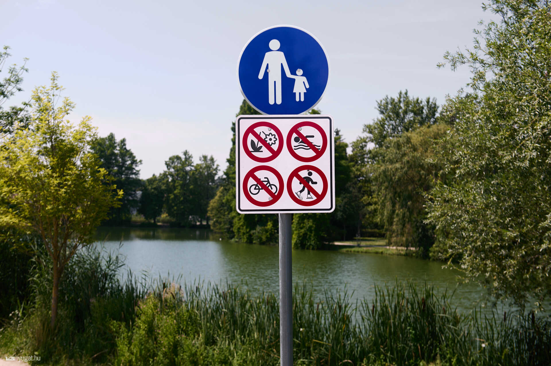 Úszni tilos tábla csónakázótó