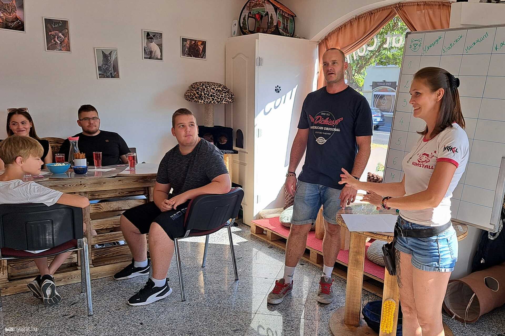 Cica kvÍz első alkalommal