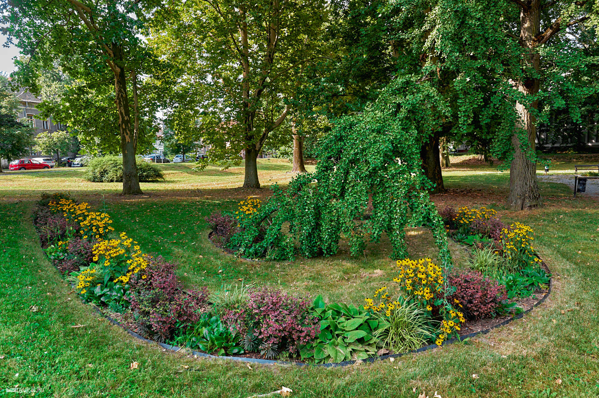 Pelikán park 2024