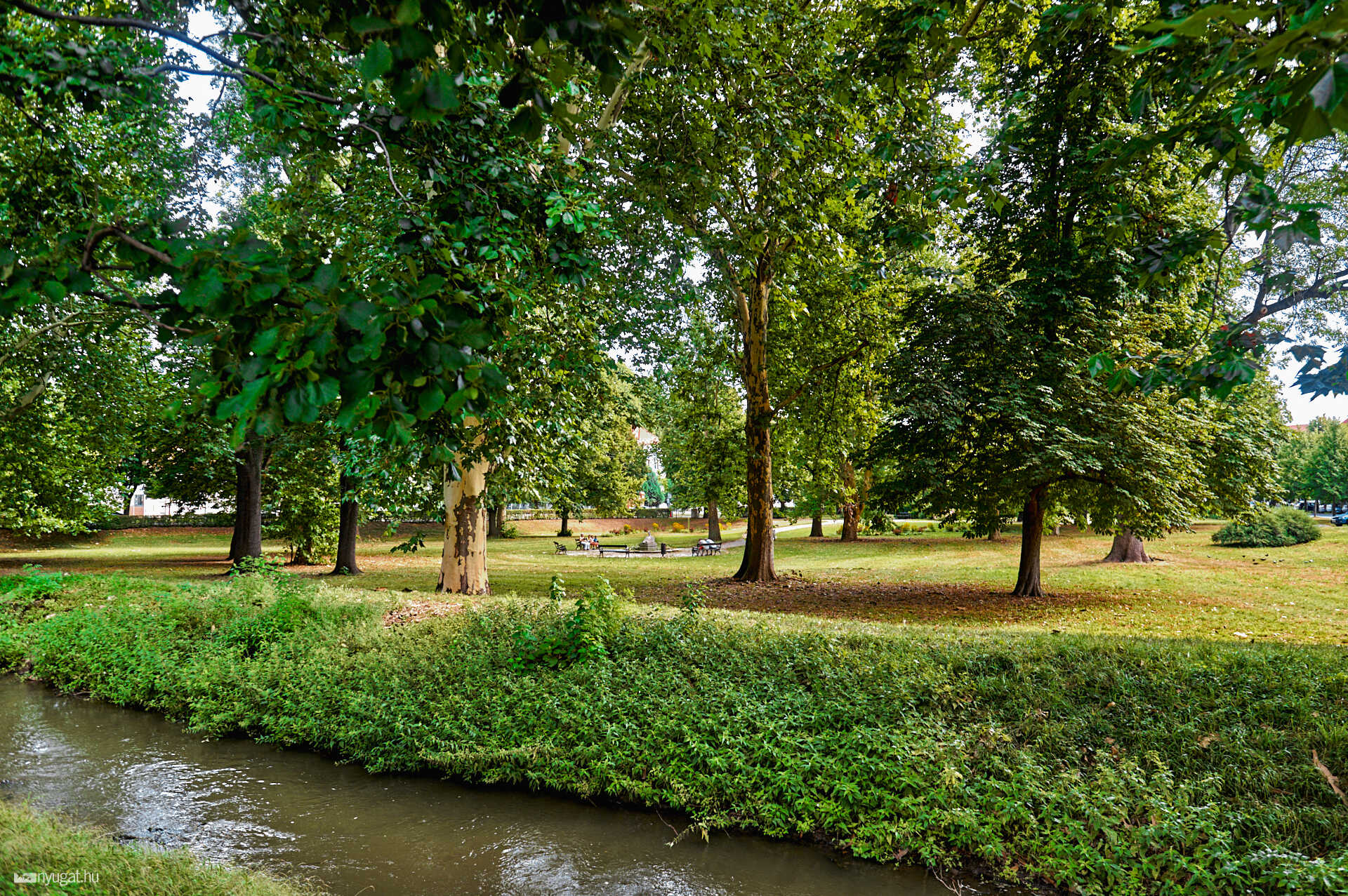 Pelikán park 2024