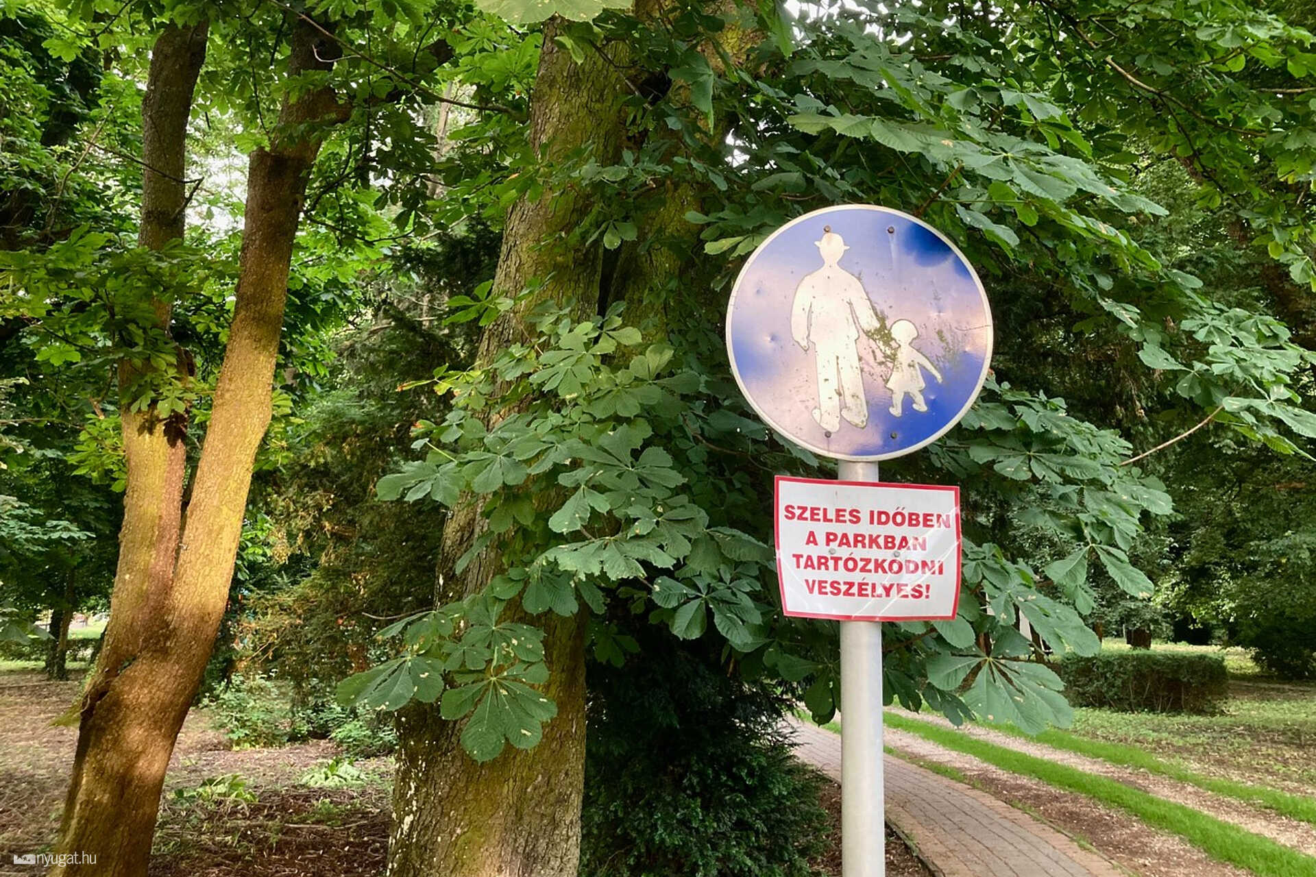 YoCoJoin2 Szalai Zsófia Táplánszentkereszt