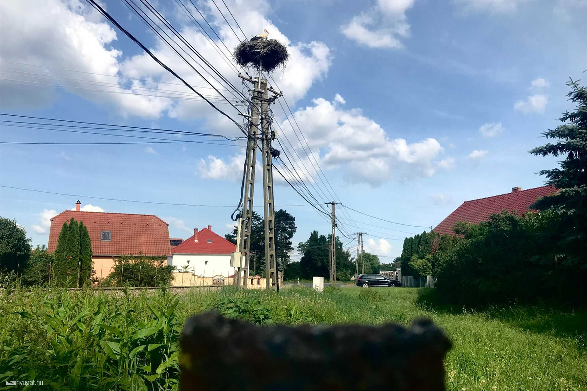 YoCoJoin2 Szalai Zsófia Táplánszentkereszt