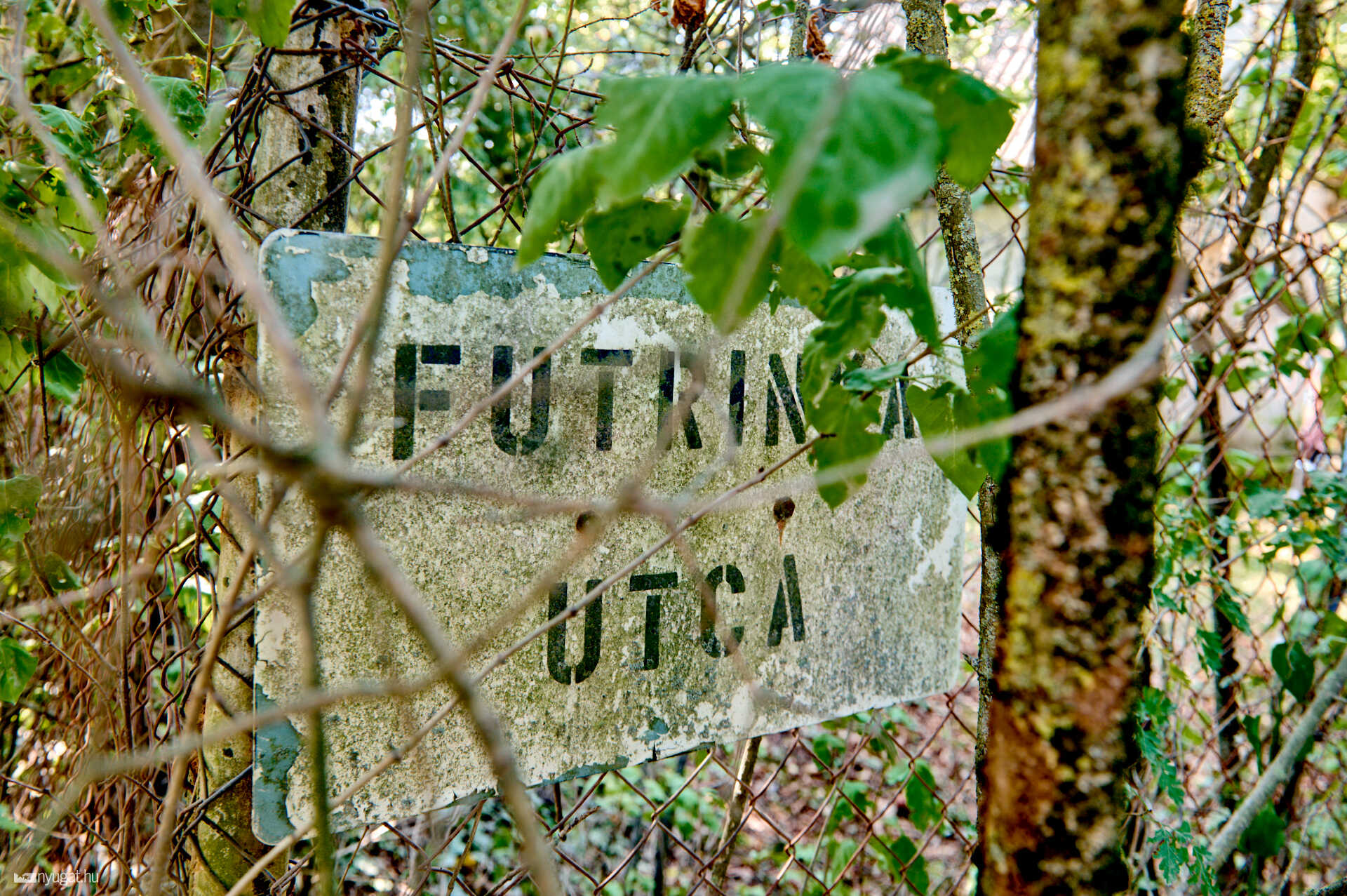 Futrinka utcák Szombathelyen