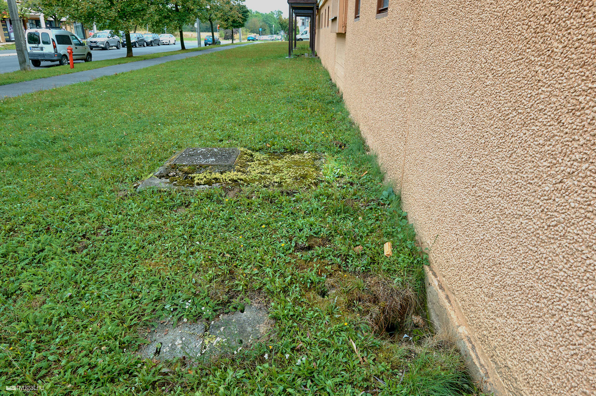 rágcsáló, pocok, kártevő lukak Szombathelyen
