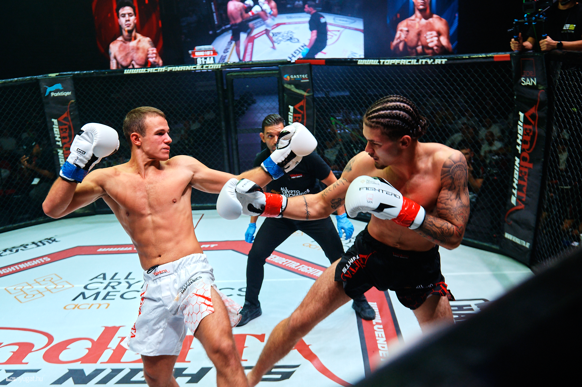 Vendetta Fight Nights 2024 Arena Savaria