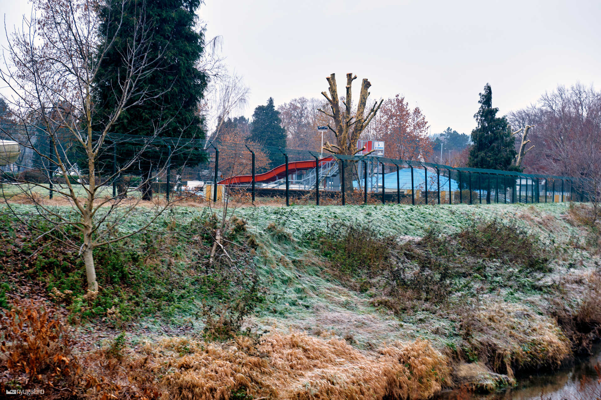 metszett fák a tófürdőn