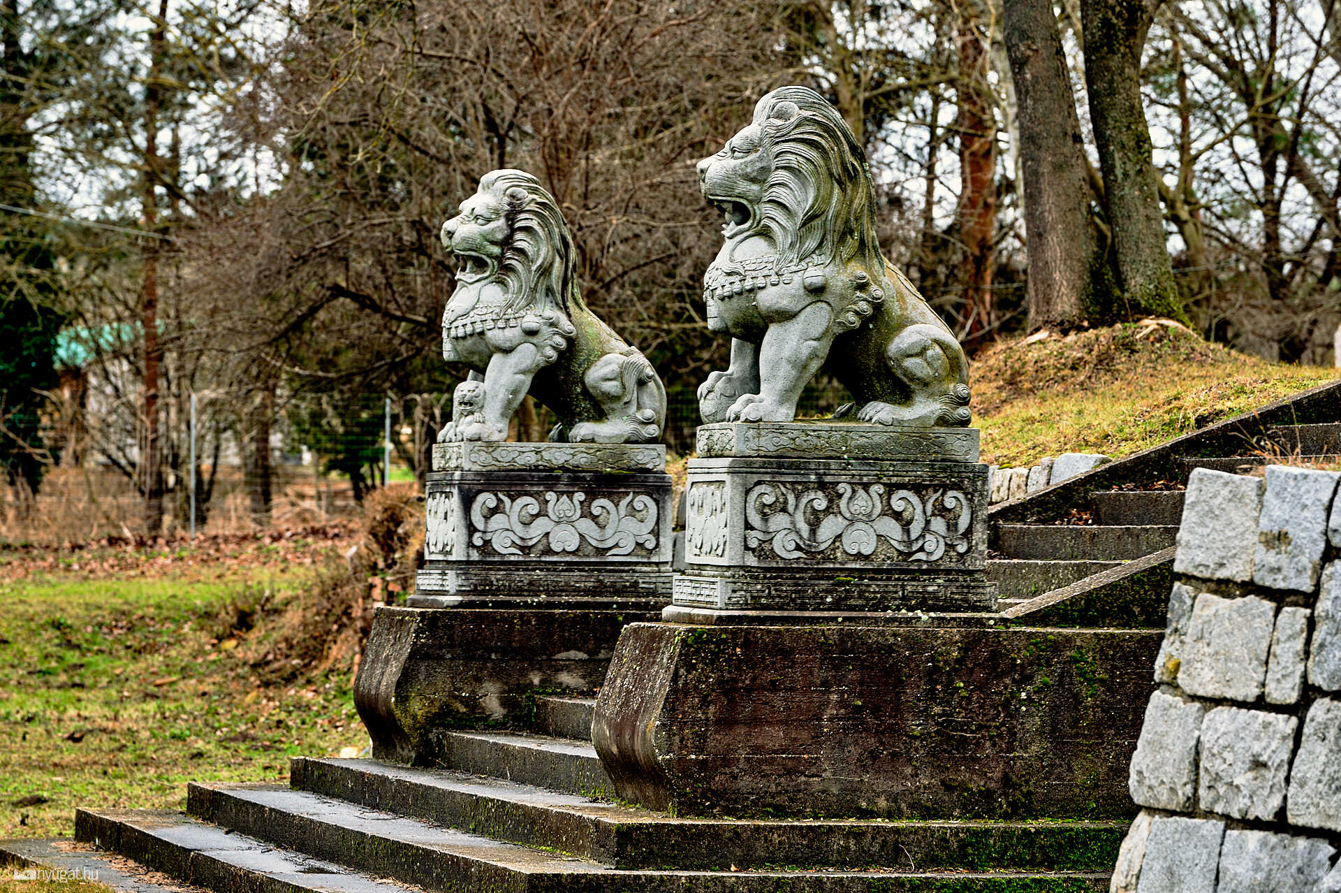Faluriport - Torony