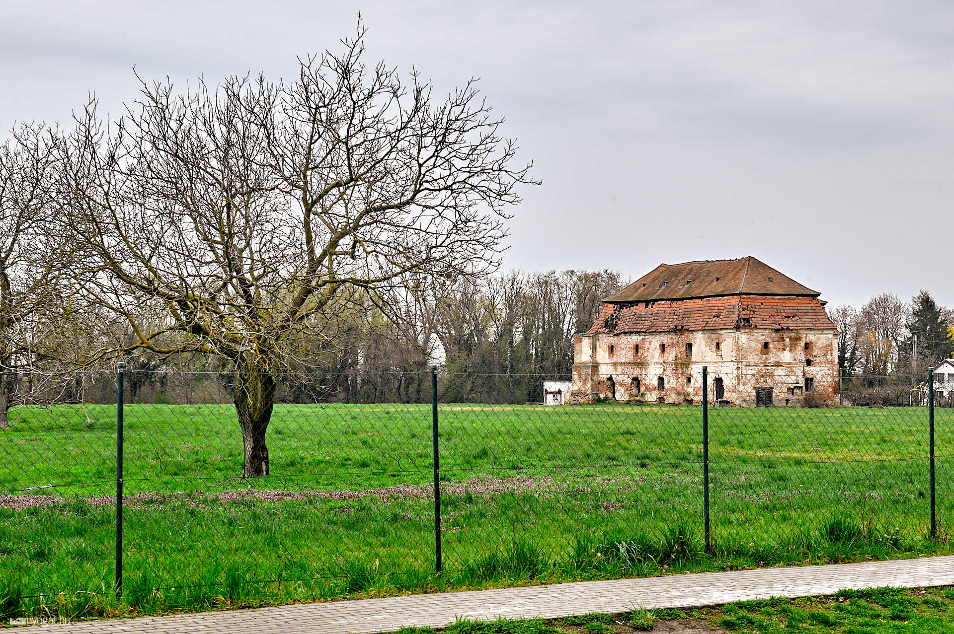 Vasszécseny faluriport