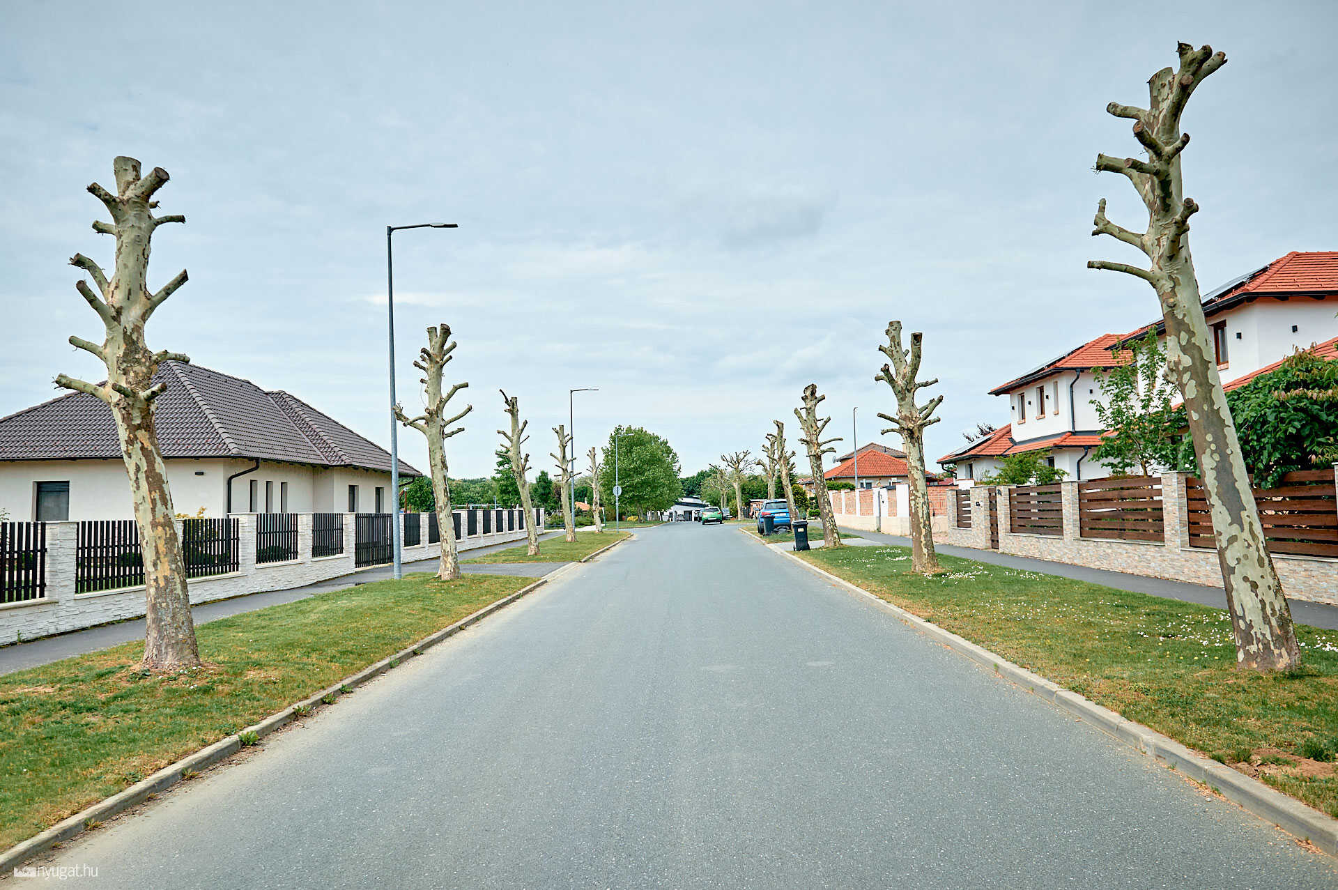 Platánok Szent II. János Pál pápa körút