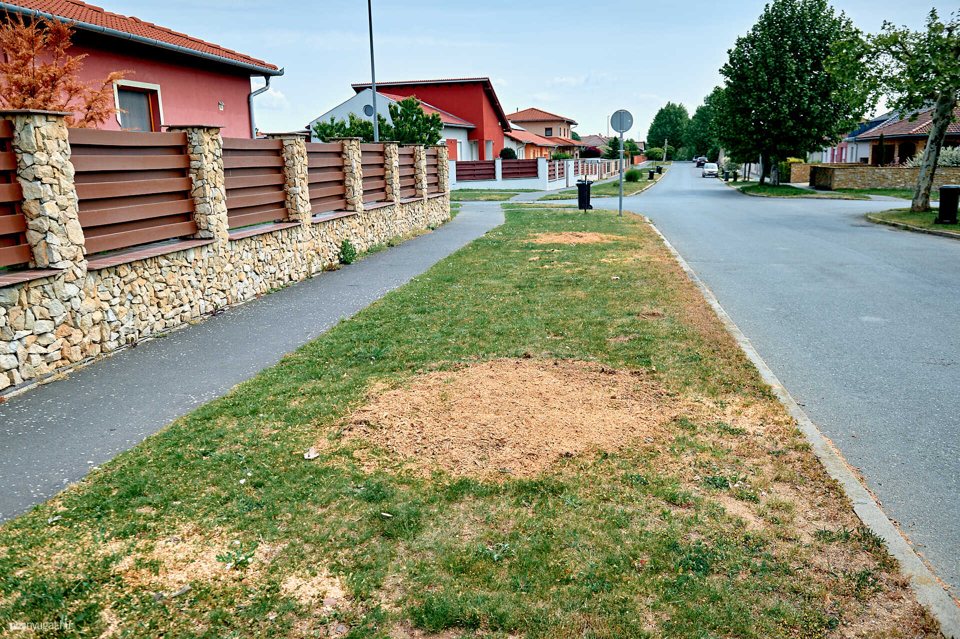 Platánok Szent II. János Pál pápa körút