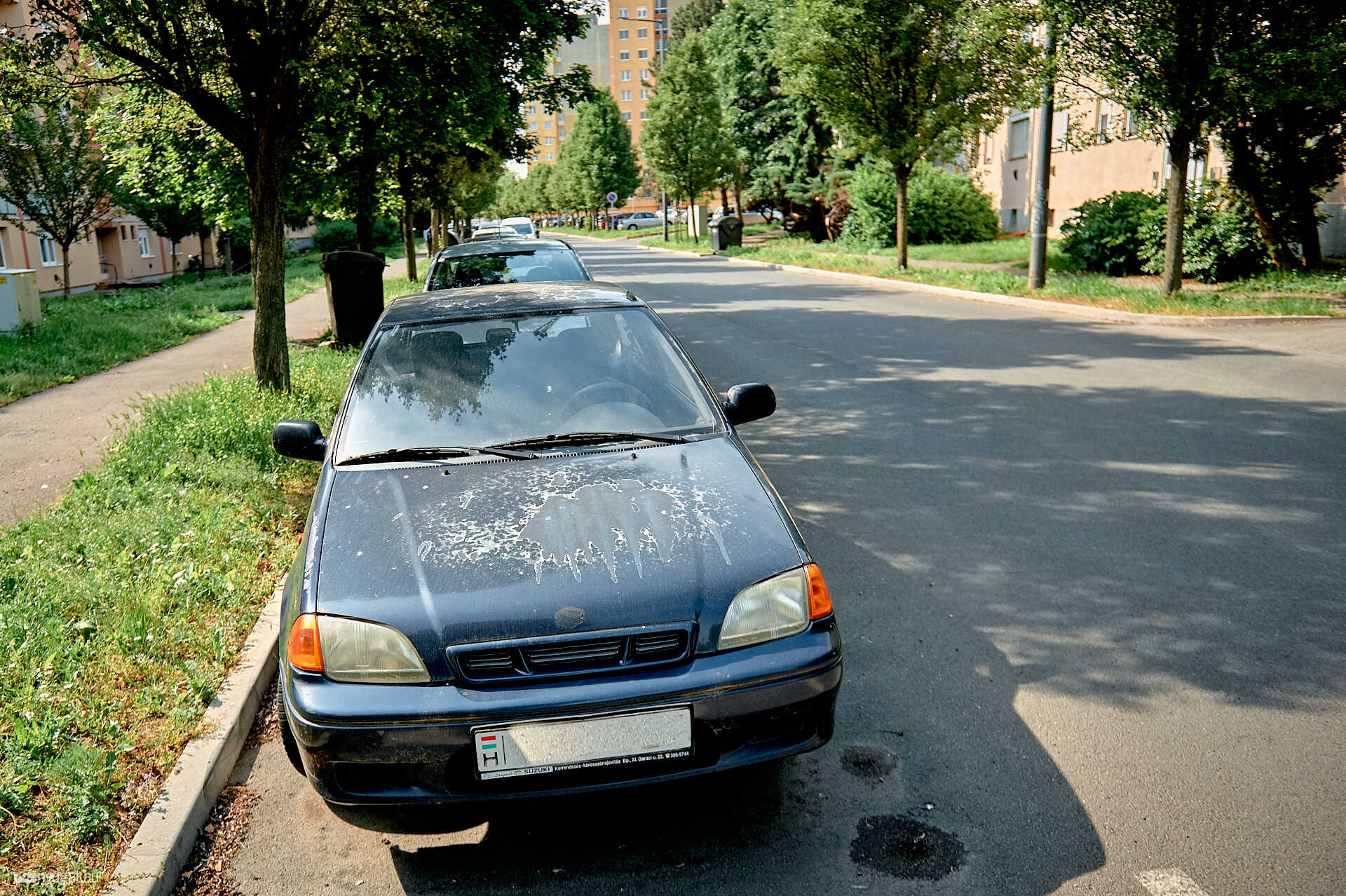 Suzuki Károly Róbert utca