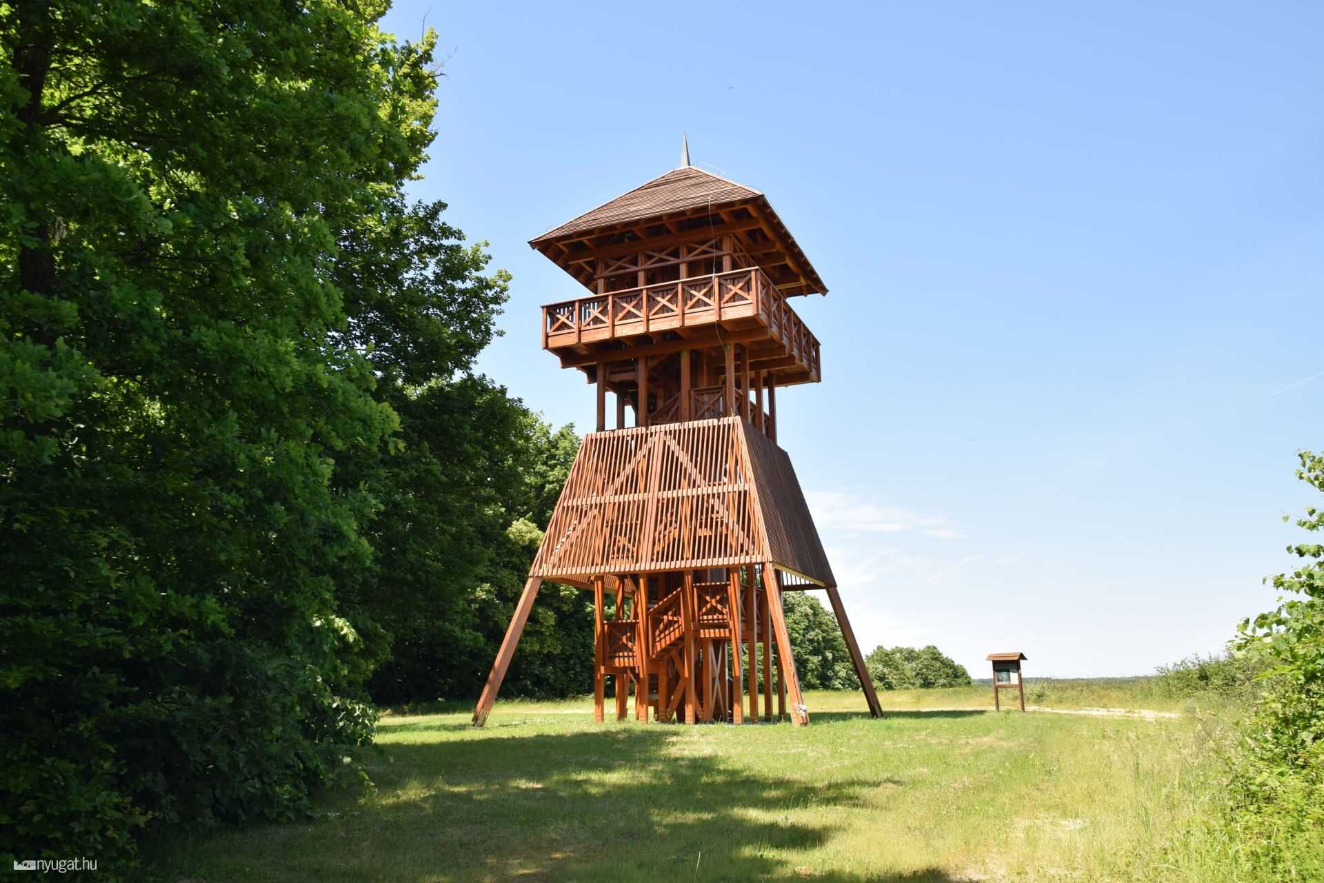 Farkas erdő, természet, fák