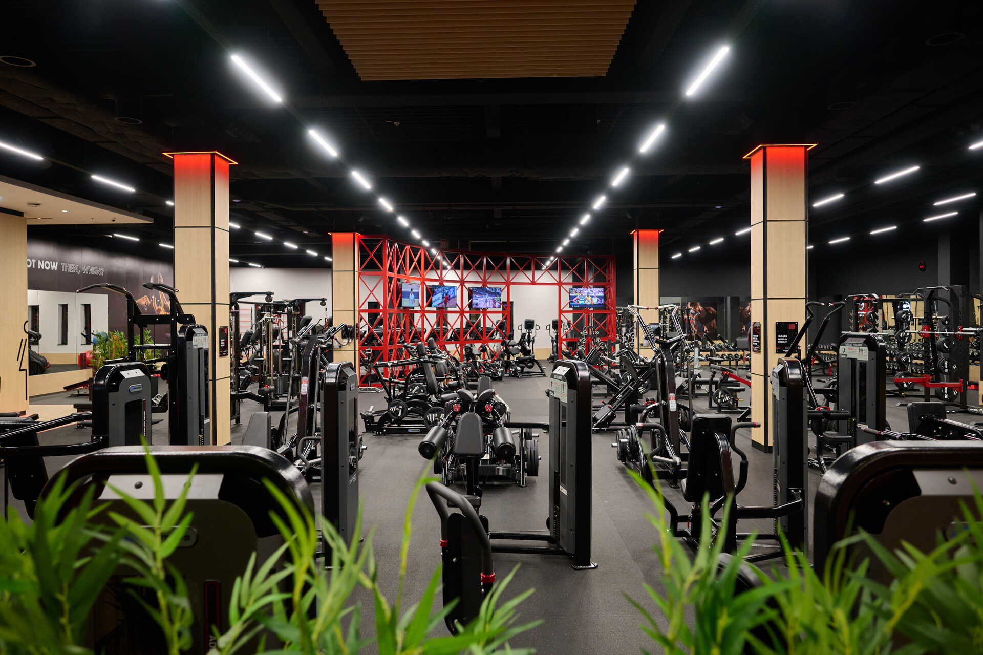  ProGym GOLD