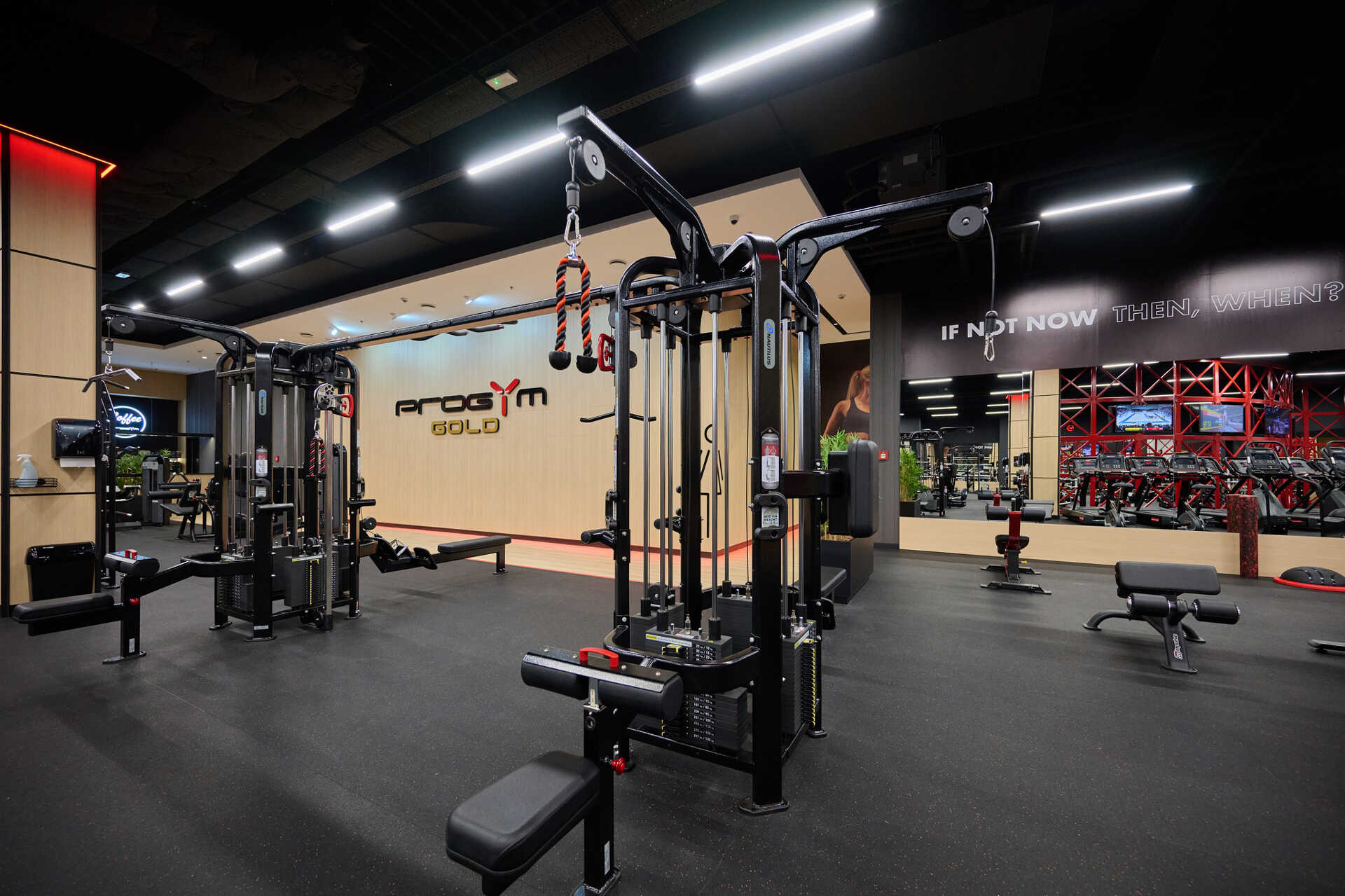  ProGym GOLD
