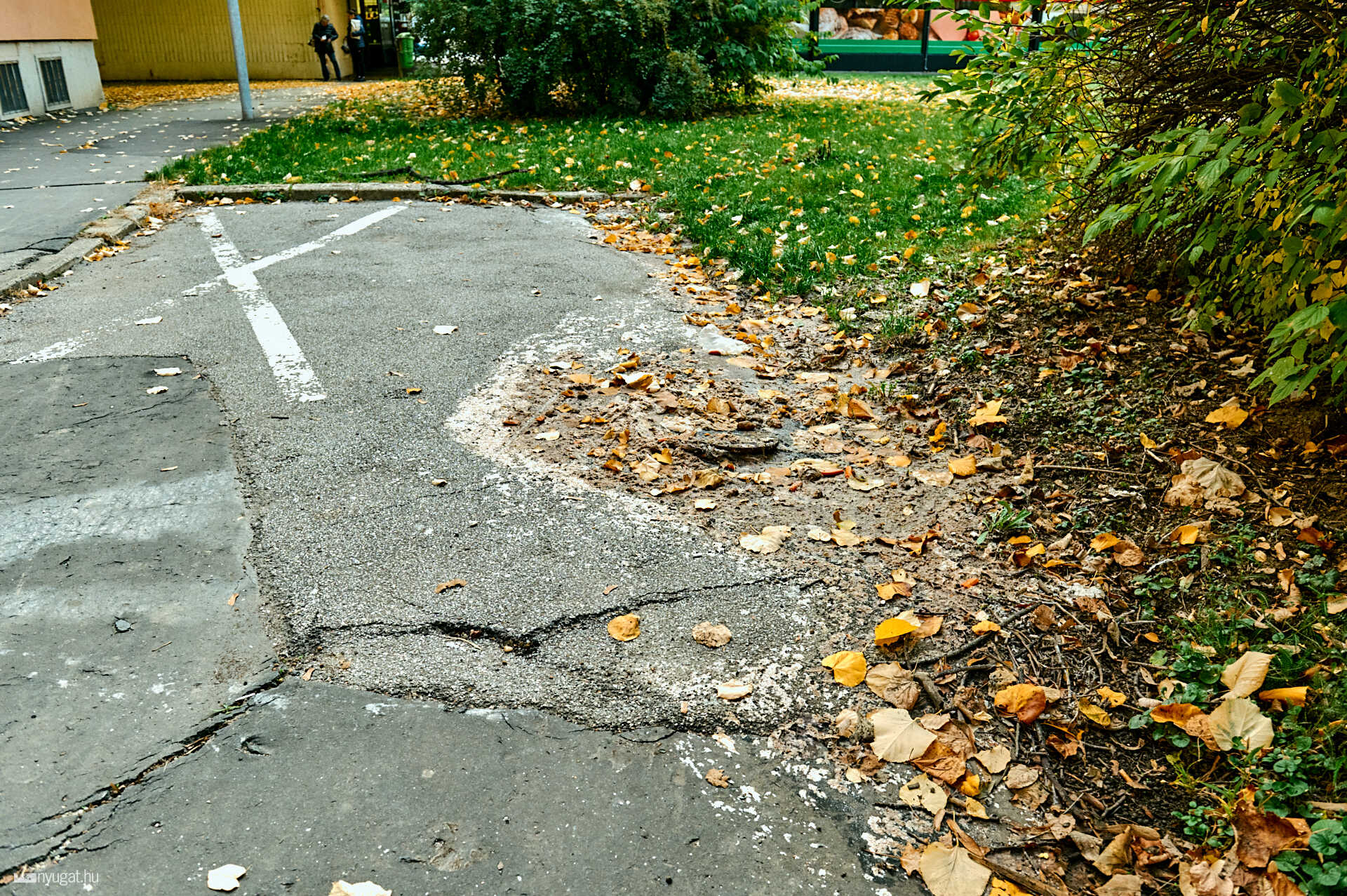 kifolyt szennyvíz Szűrcsapó 4.c