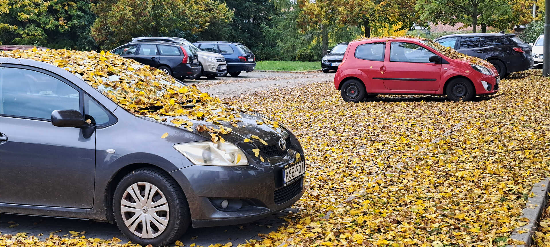 Utolsó őszi pillanatok 2025-ből
