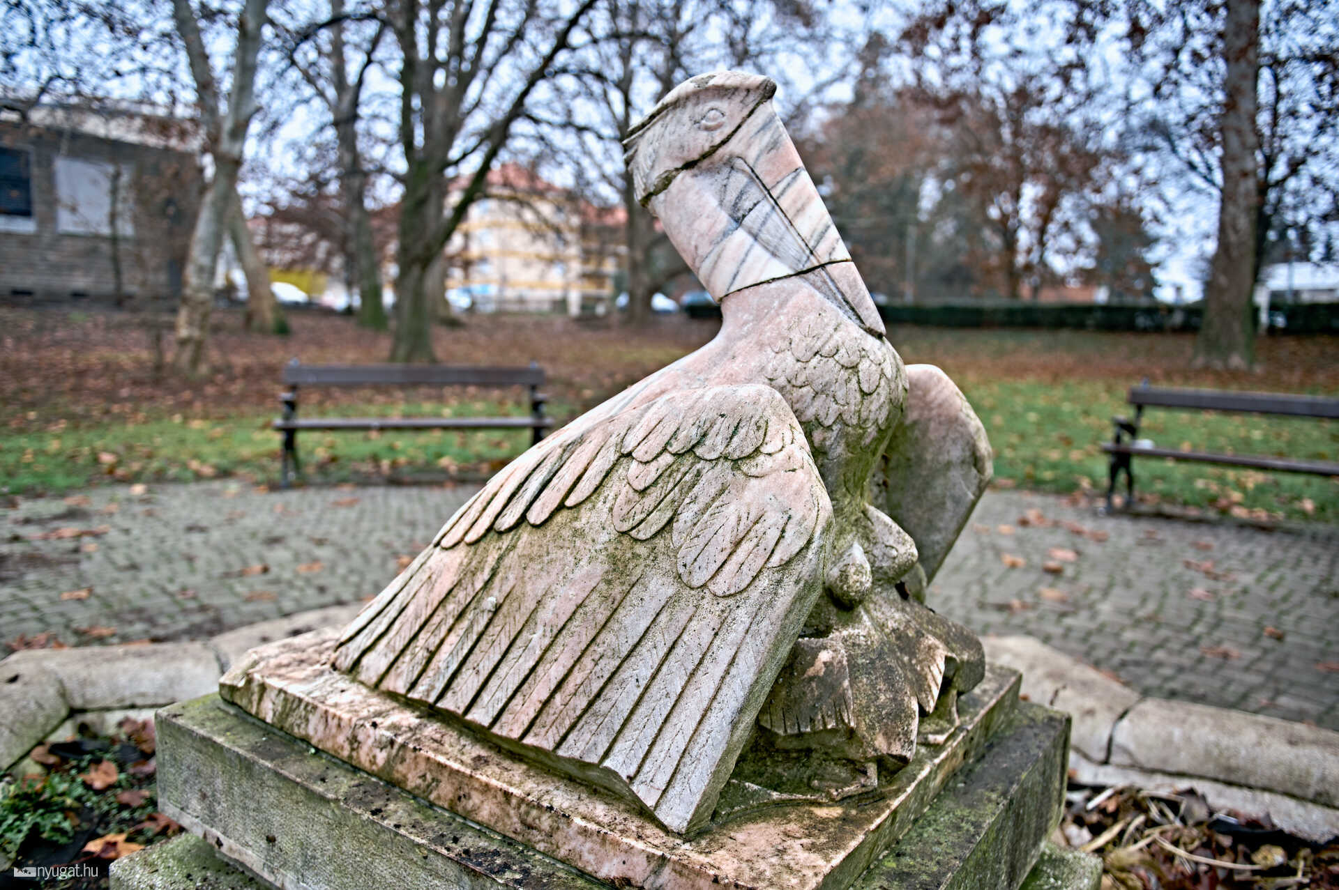 Pelikán park pelikán