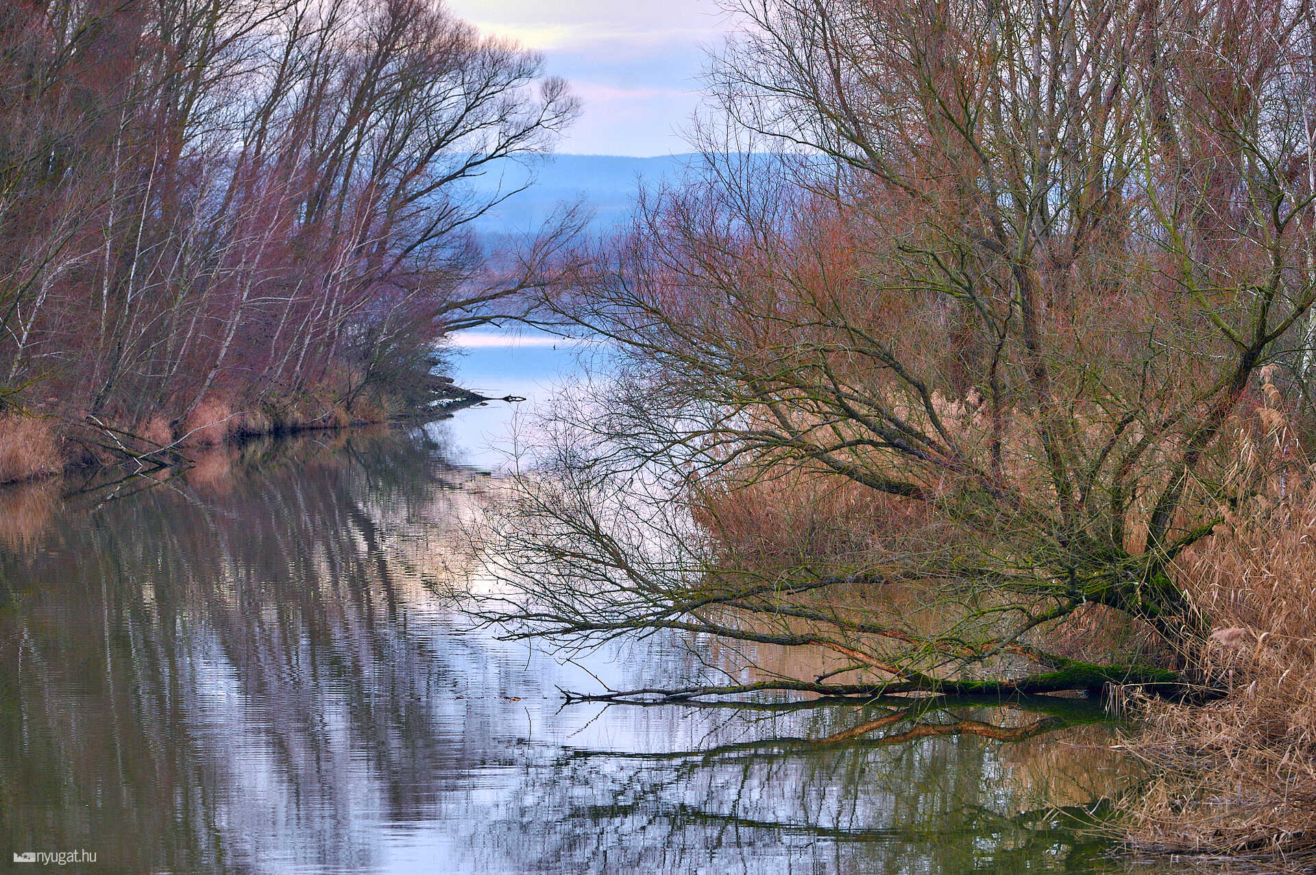 Kis-Balaton túra télen