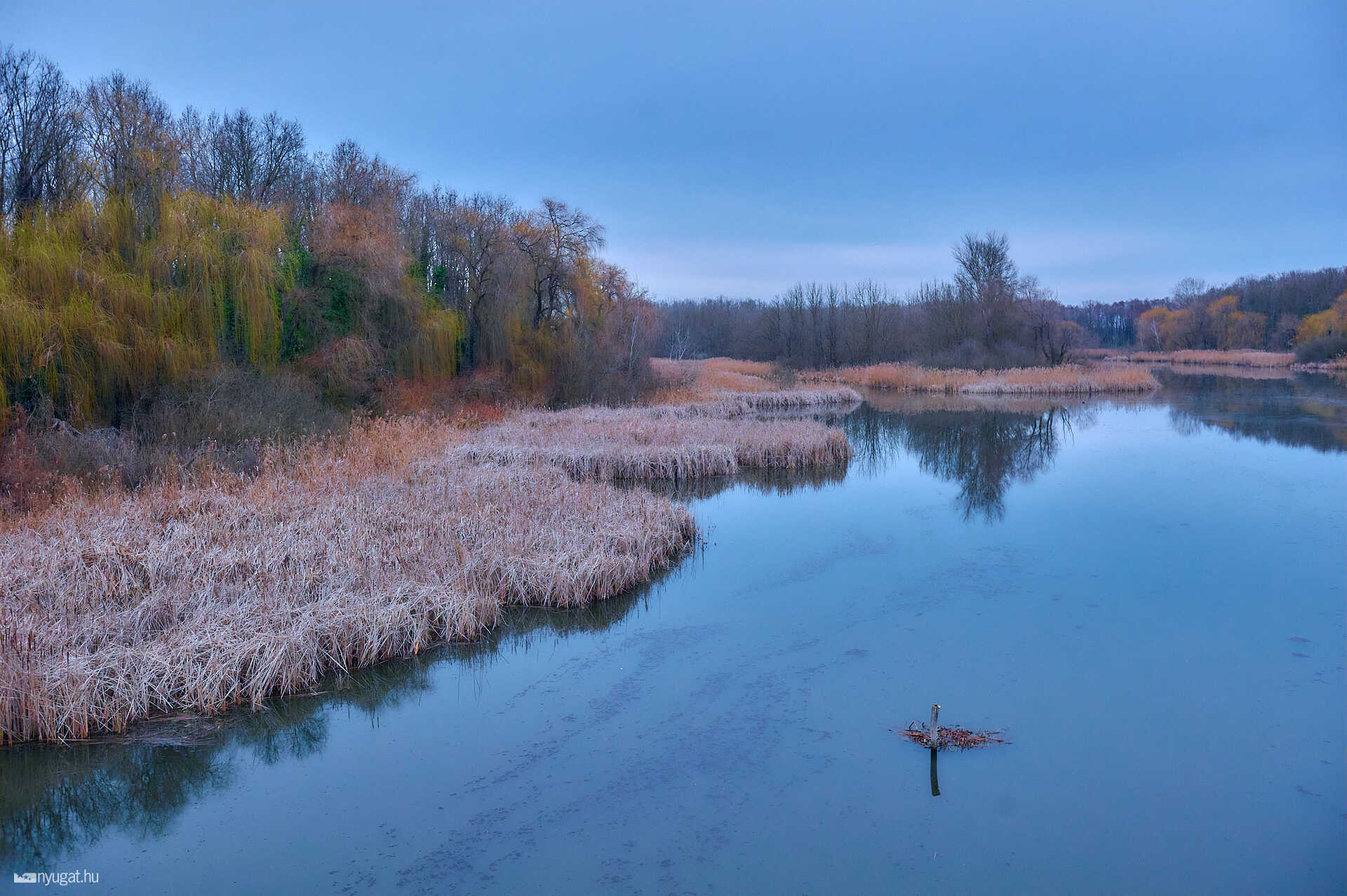 Kis-Balaton túra télen