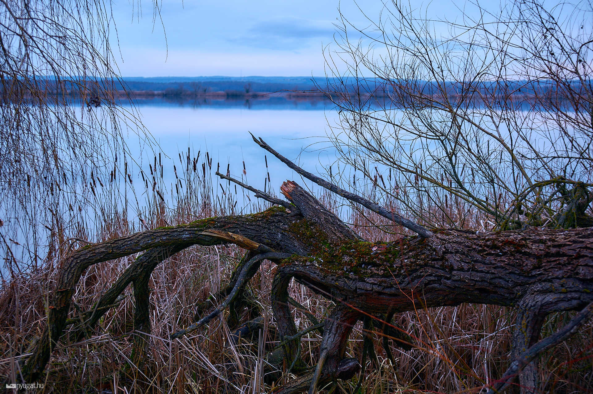 Kis-Balaton túra télen