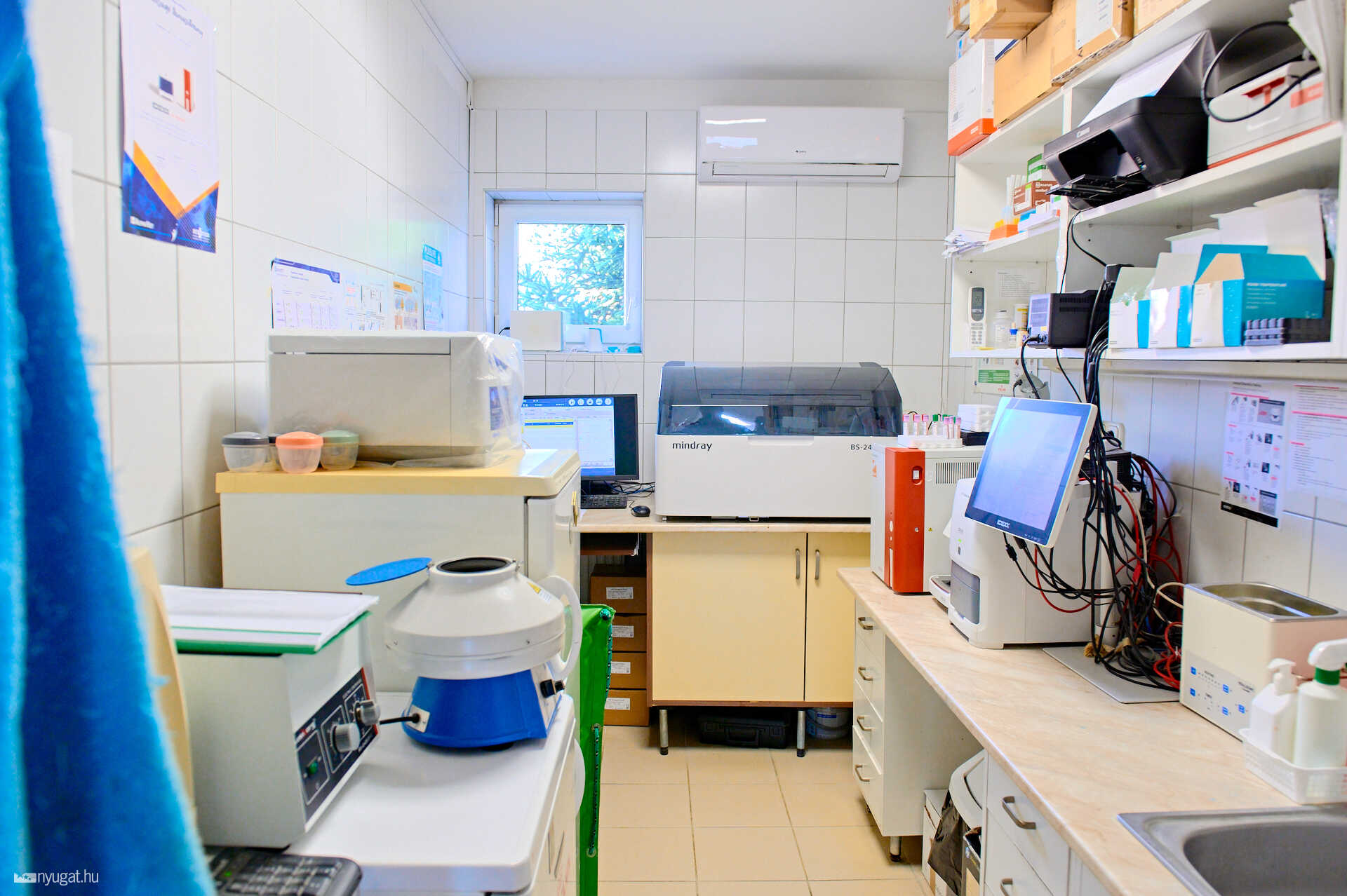 szombathelyi állatkórház laboratórium