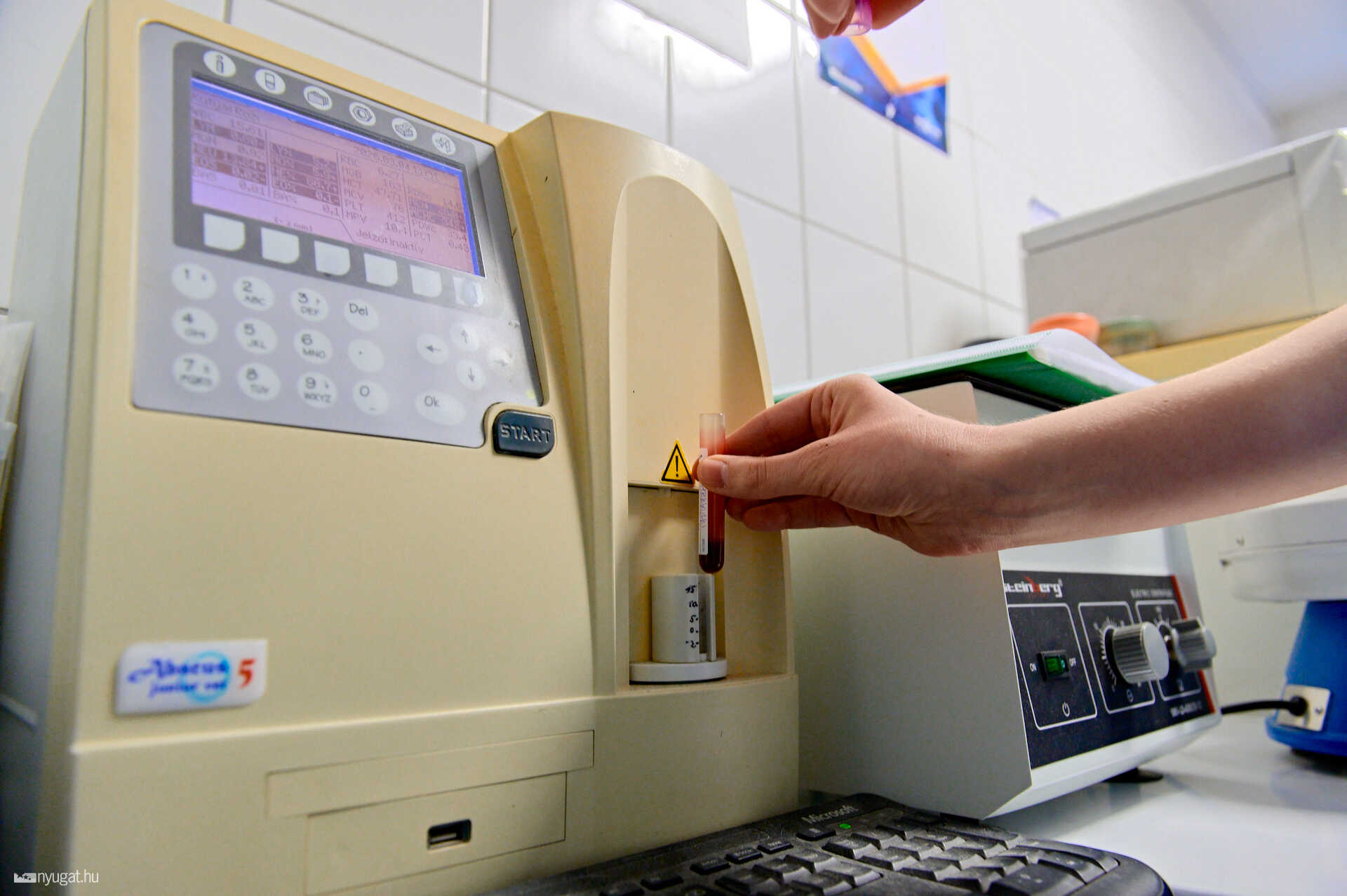 szombathelyi állatkórház laboratórium