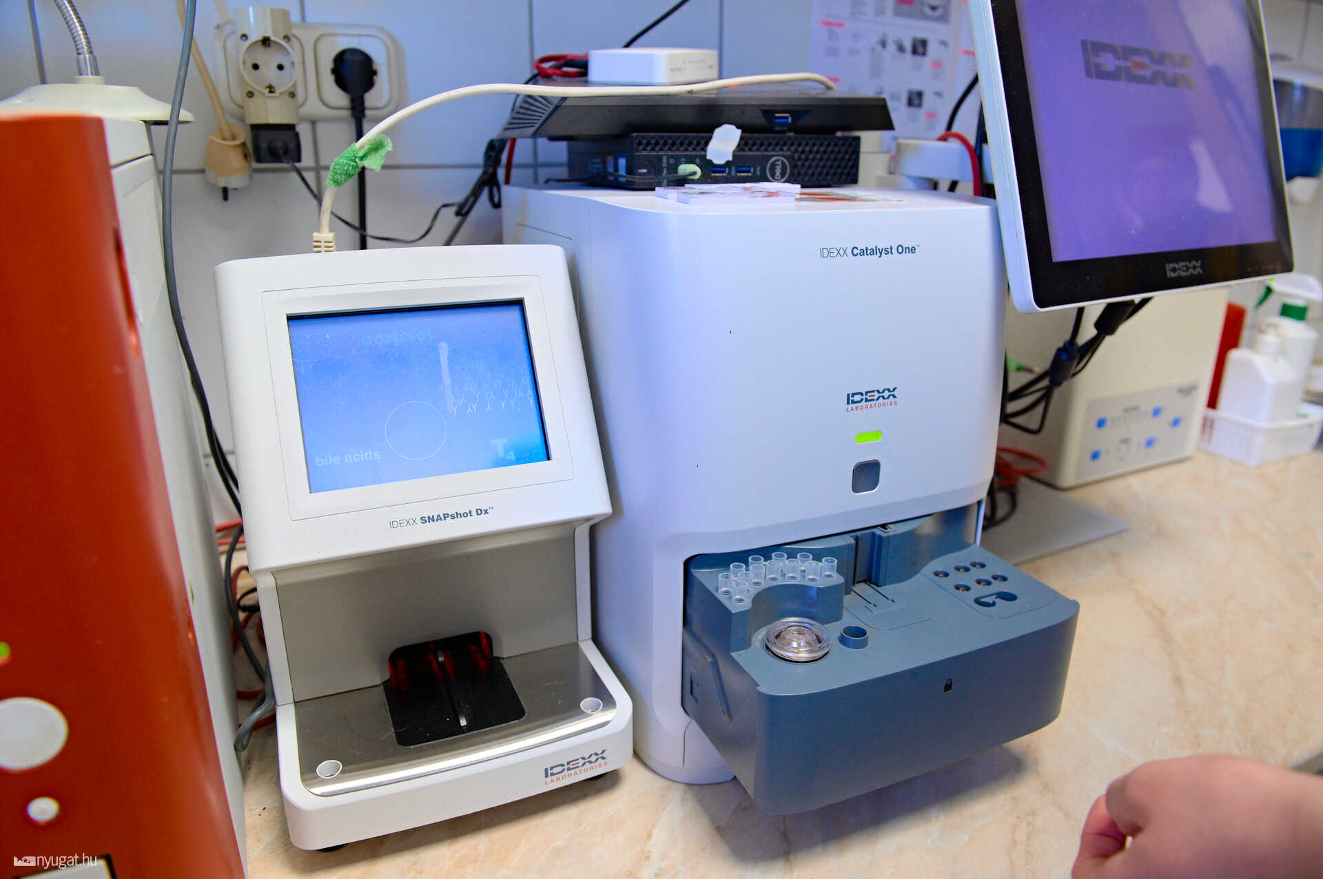 szombathelyi állatkórház laboratórium
