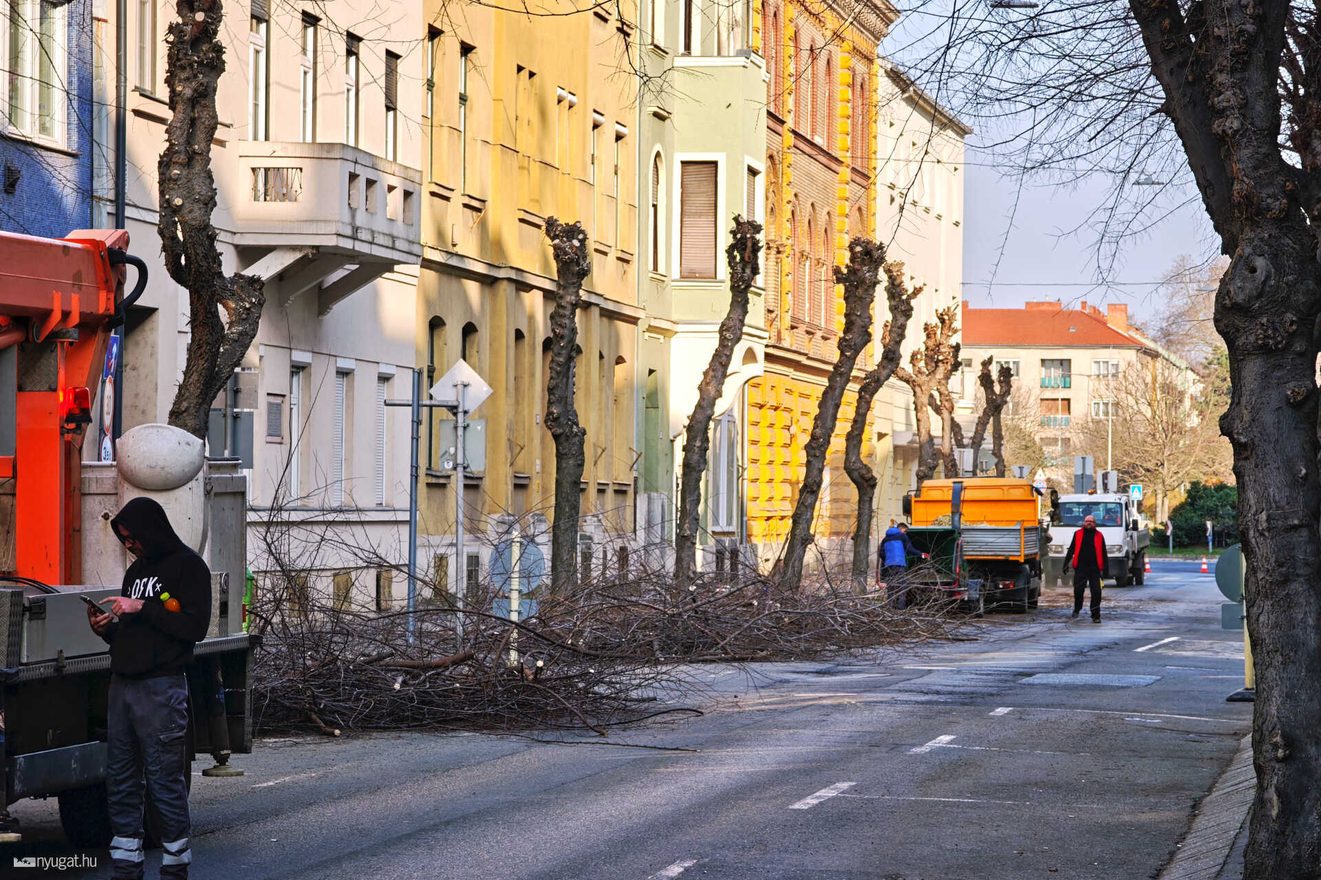 Fametszés Szombathelyen Király utca