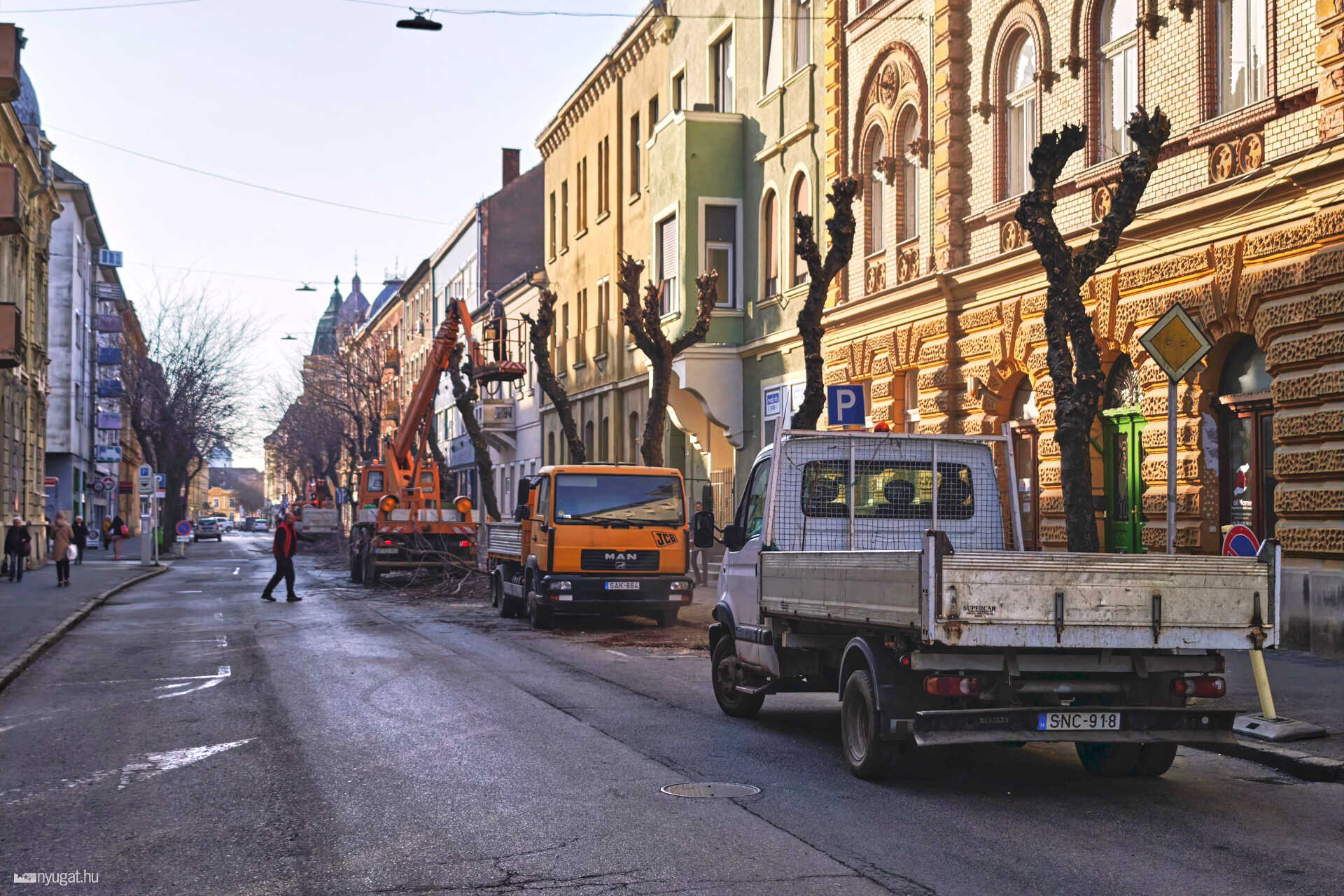 Fametszés Szombathelyen Király utca
