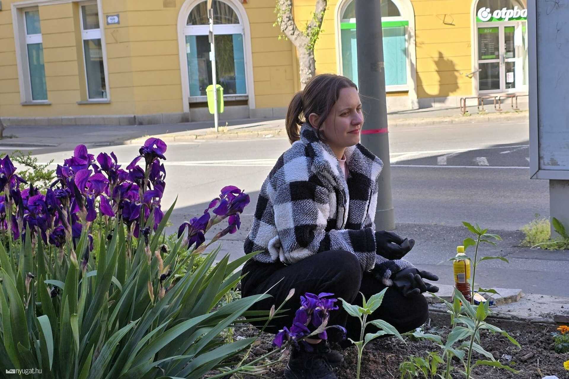 Közösségi kert a szombathelyi Savaria Szállónál 