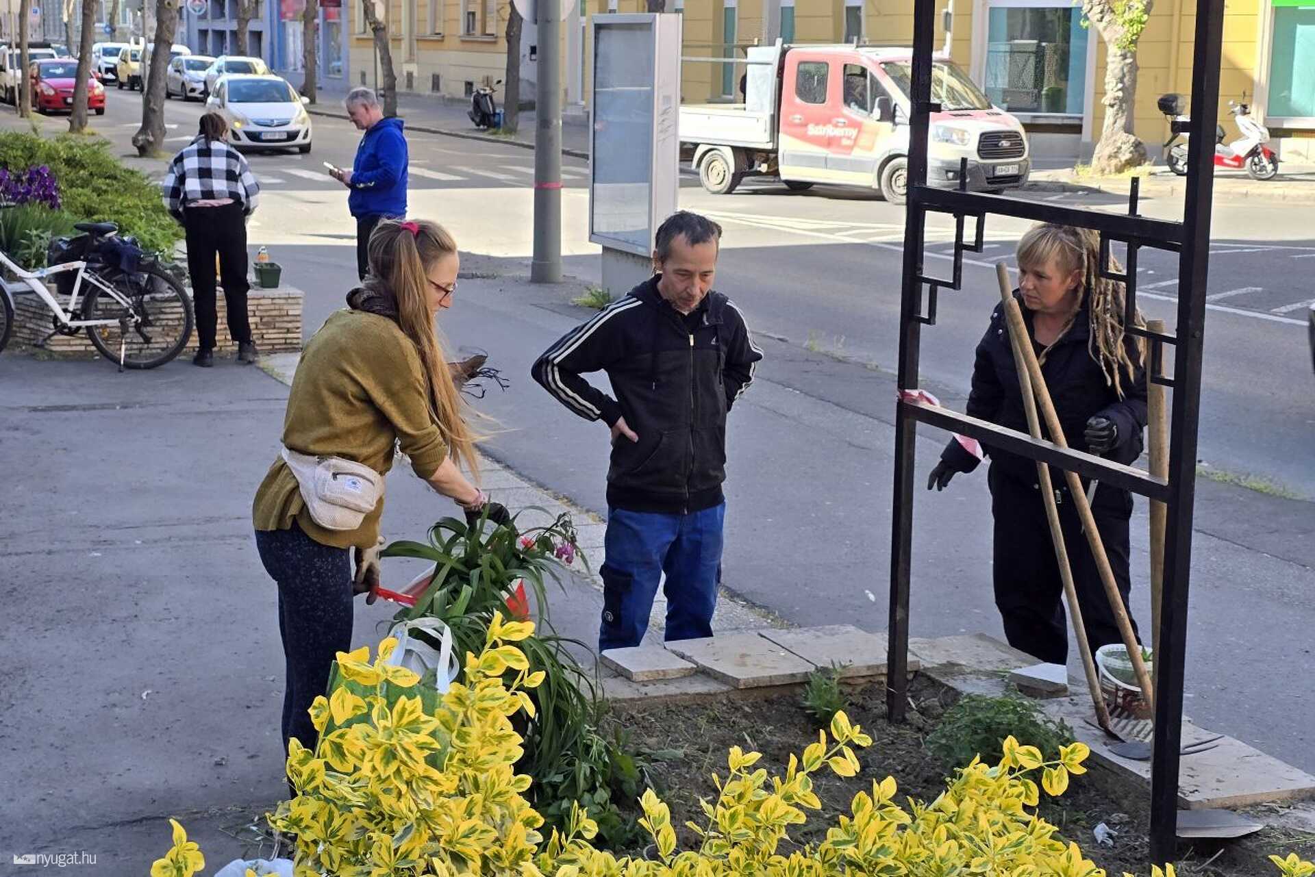 Közösségi kert a szombathelyi Savaria Szállónál 