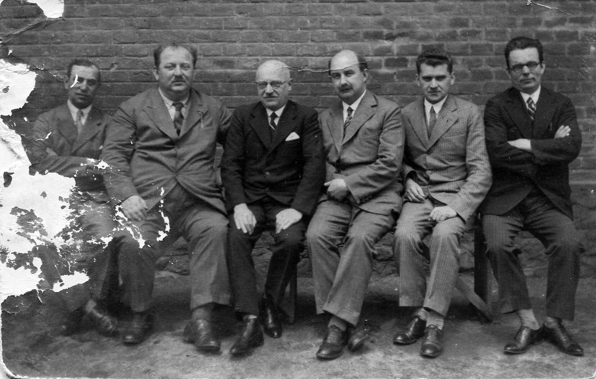 Hangya archív fotók