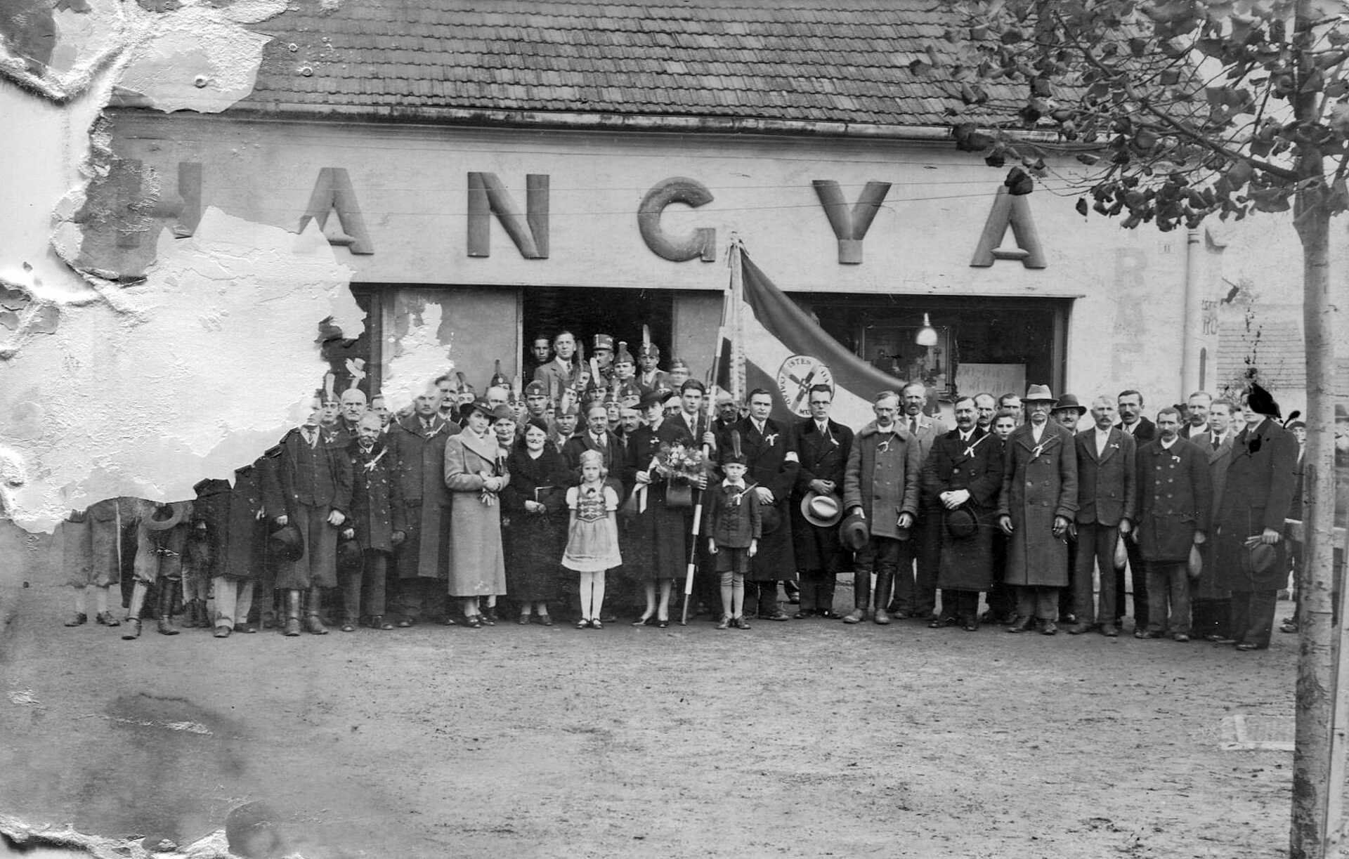 Hangya archív fotók