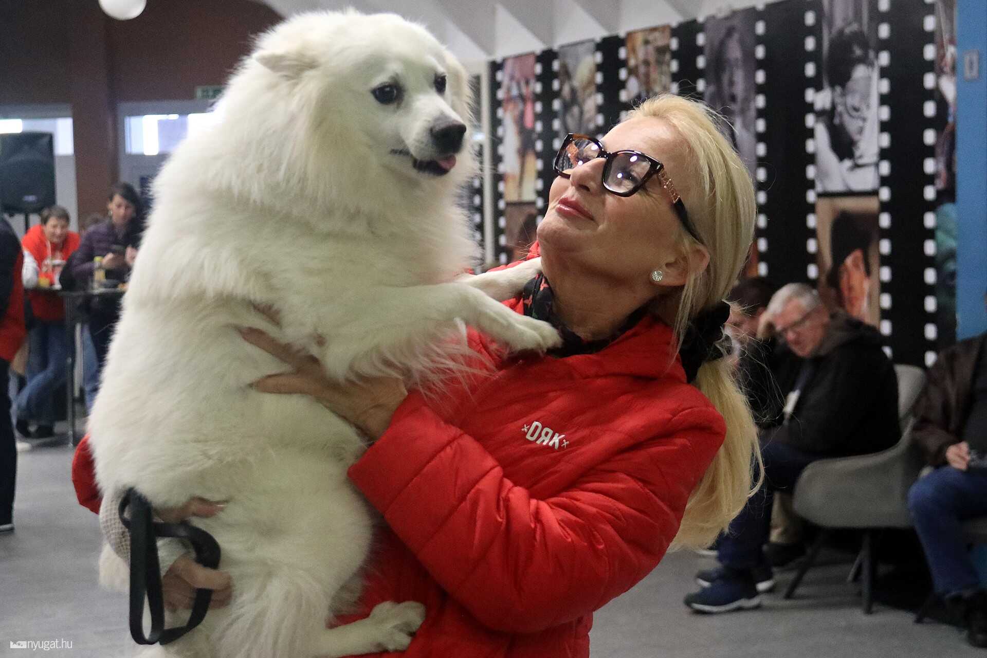 Kutya-segélyszolgálat Alapítvány közönségtalálkozója  