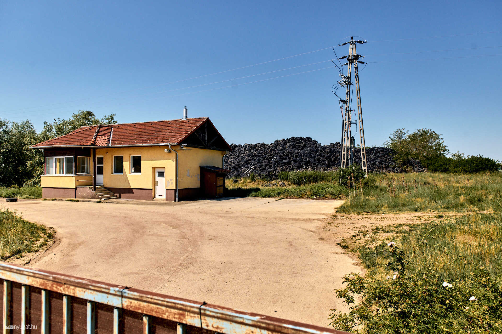 Nagykölked gumitelep 2026.05.28