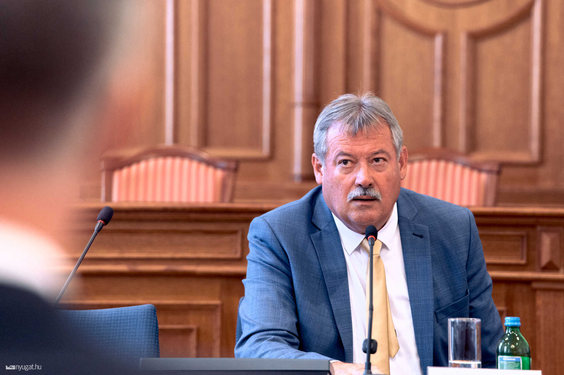 V. Németh Zsolt