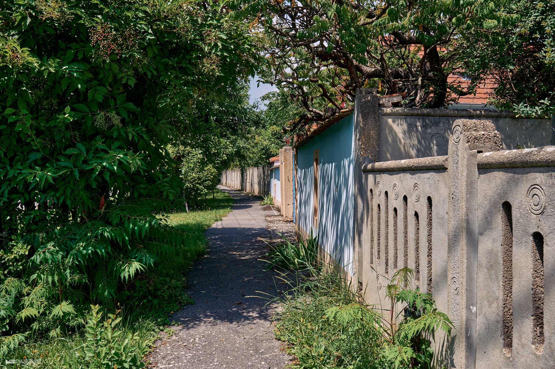 Tompaládony faluriport