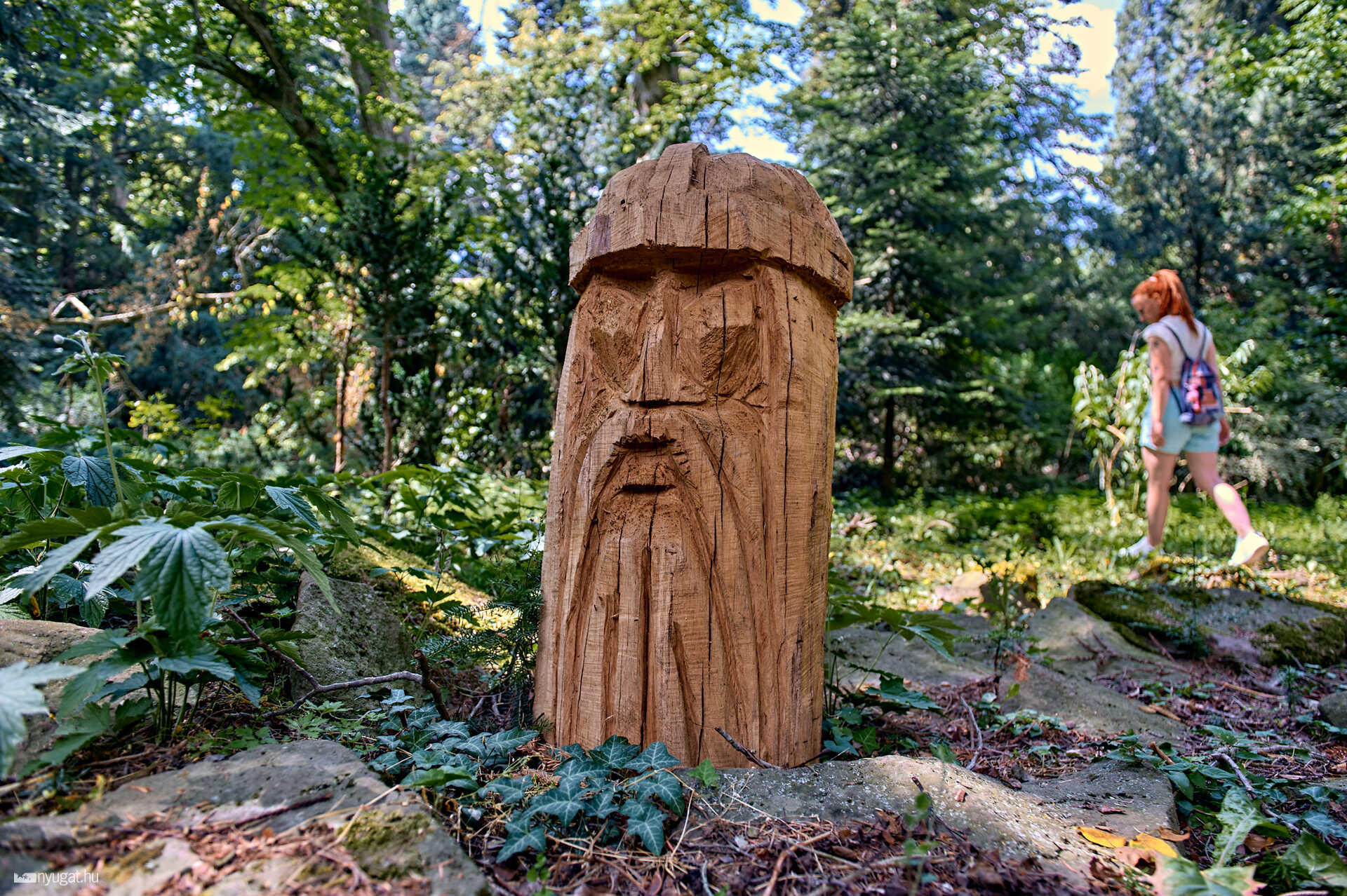 Szelestei arborétum