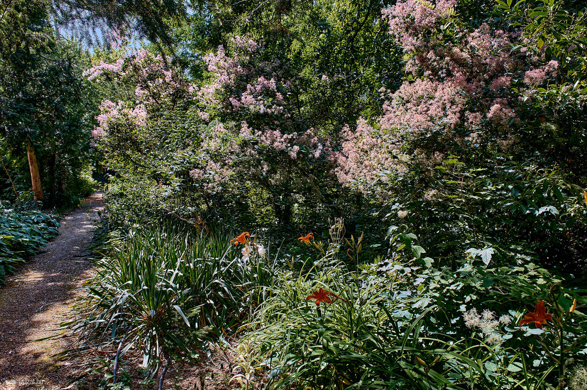 Szelestei arborétum