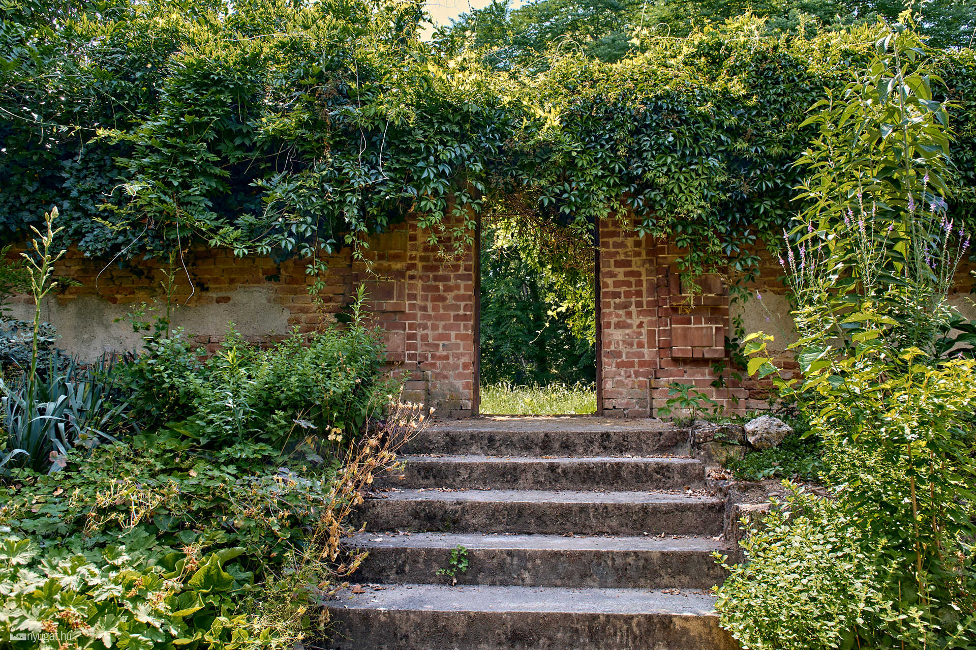 Szelestei arborétum