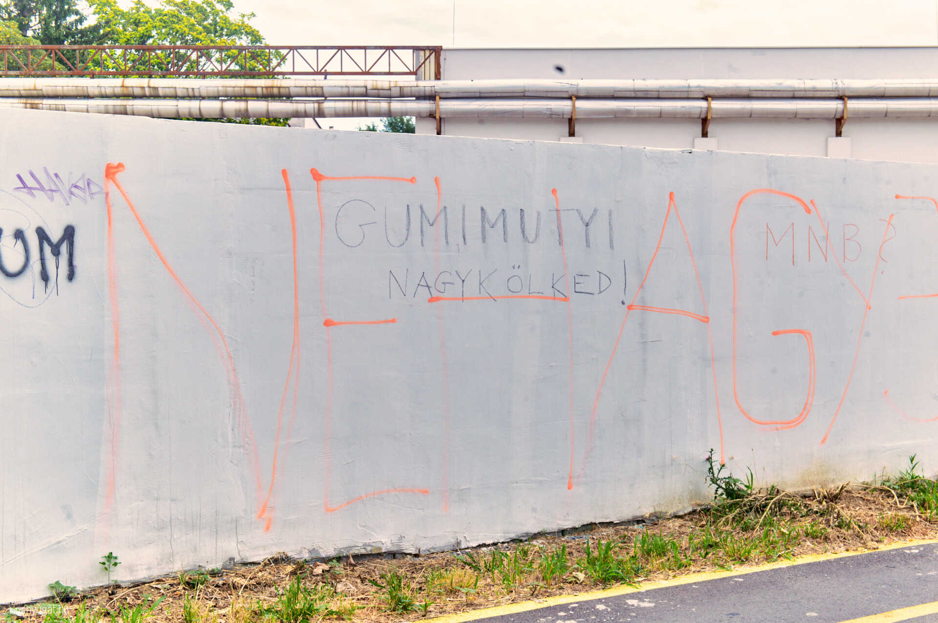 Betonfal graffity a perint parti sétányon