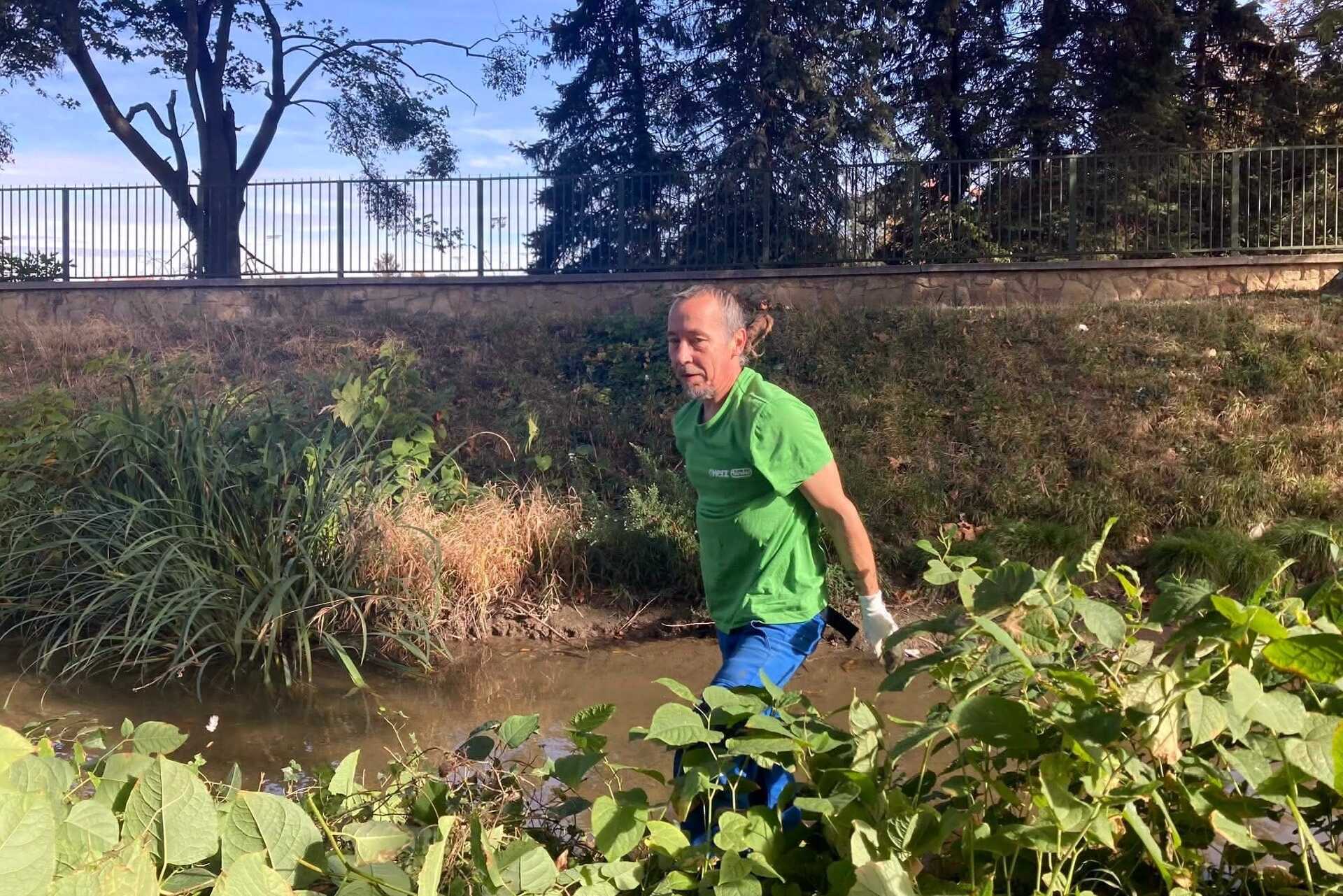 Pataktisztítás Szombathelyen