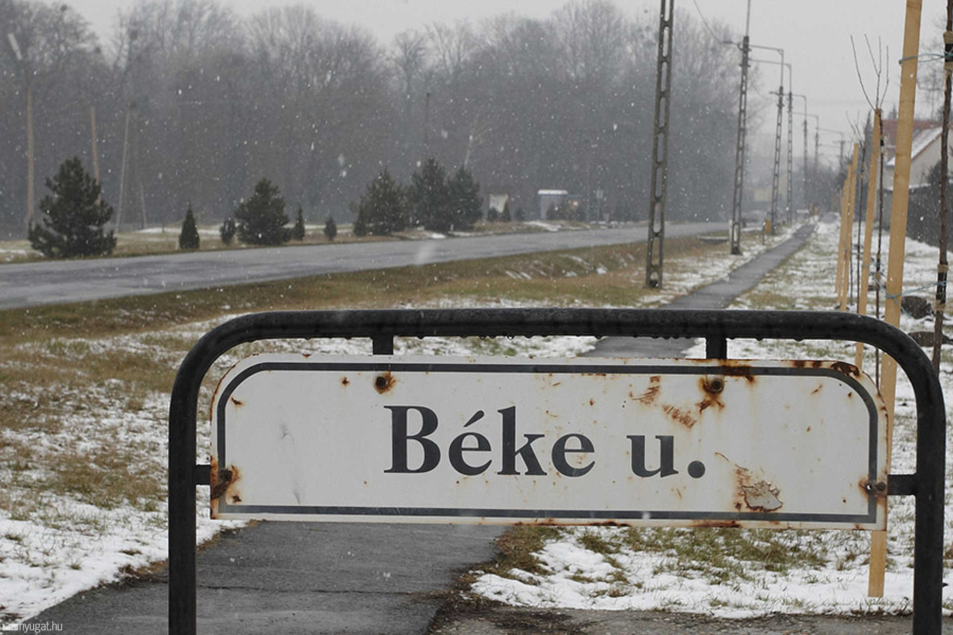 Vép